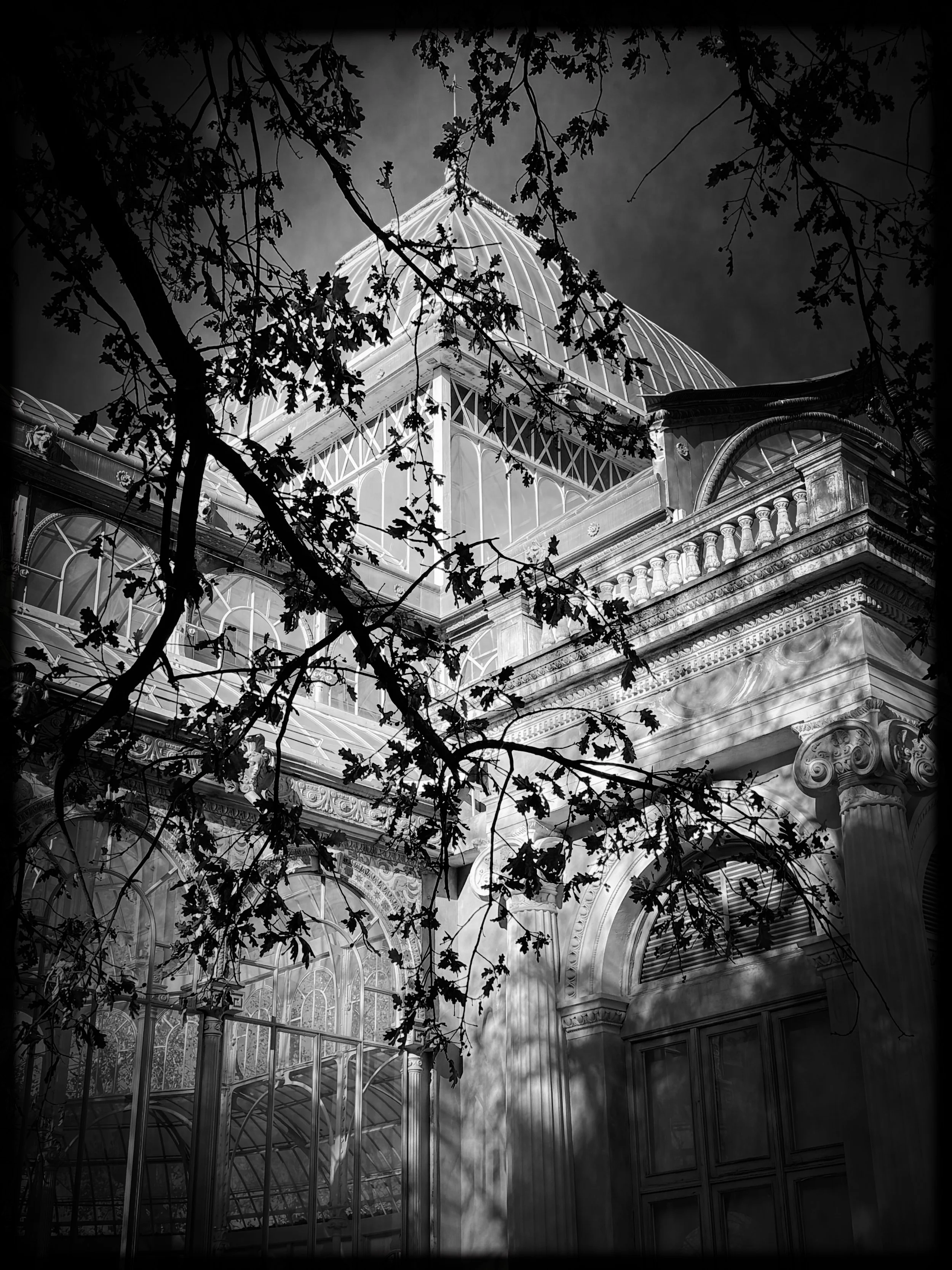 IMG_3072 (1).jpg