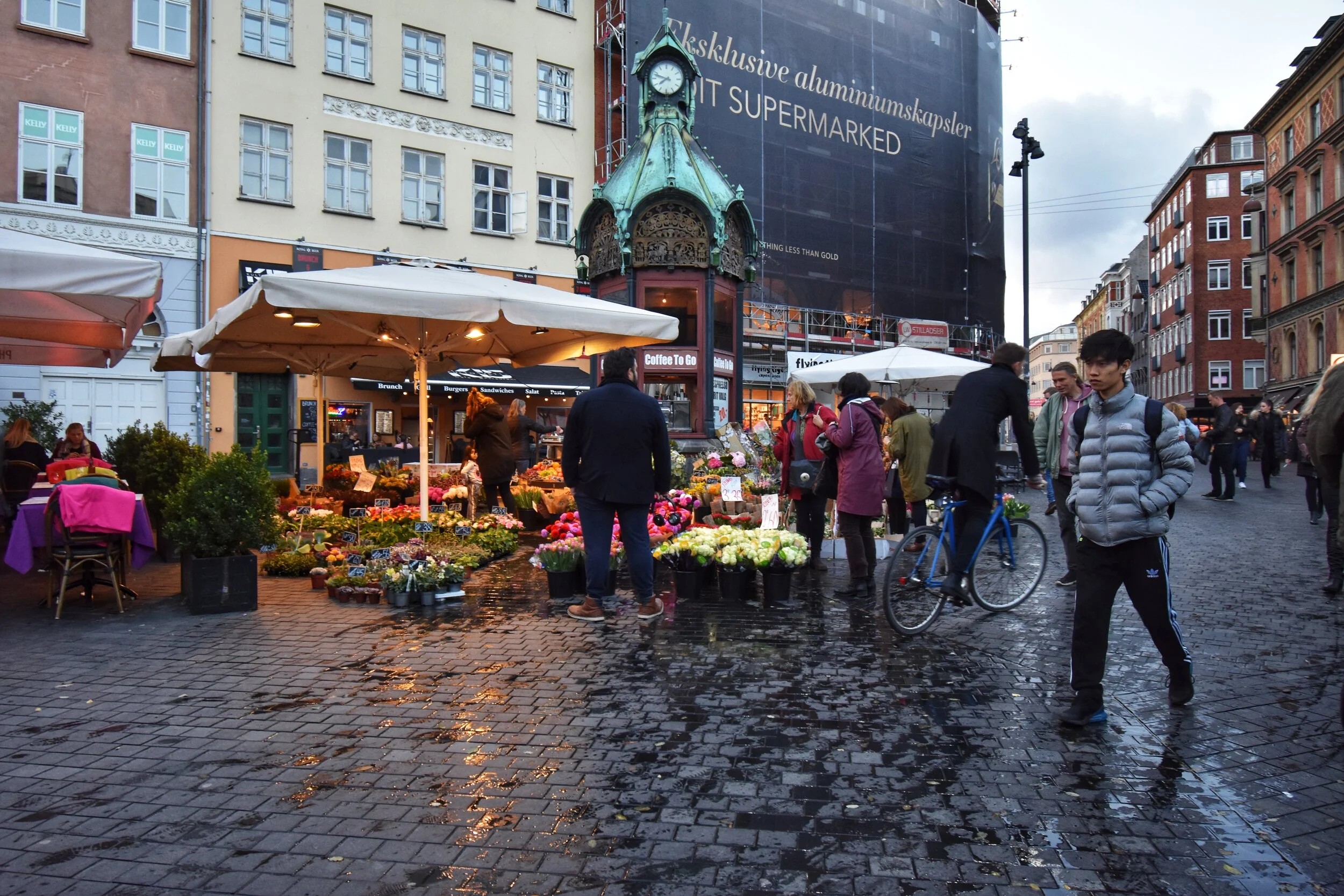DSC_5099.jpg