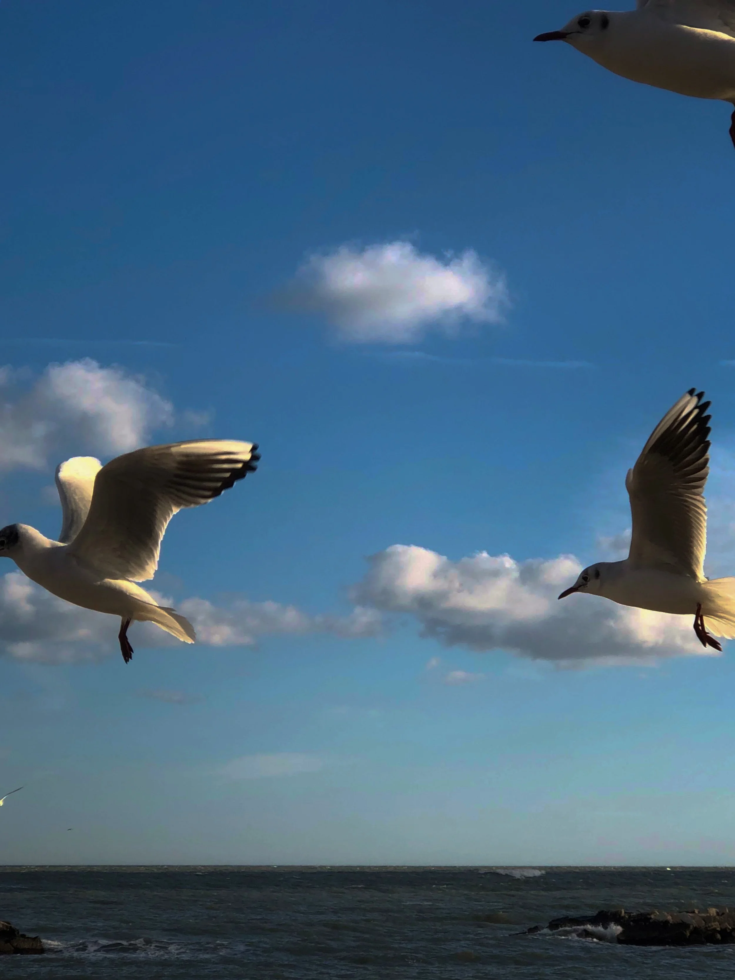 IMG_2086_polarr.JPEG