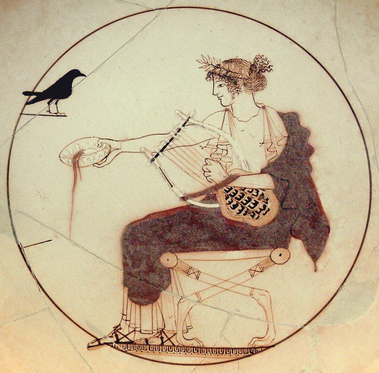 Apollo black bird AM Delphi 8140.