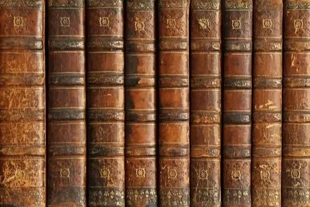 What's Actually Being Lost When AI Destroys Books — And What Isn't