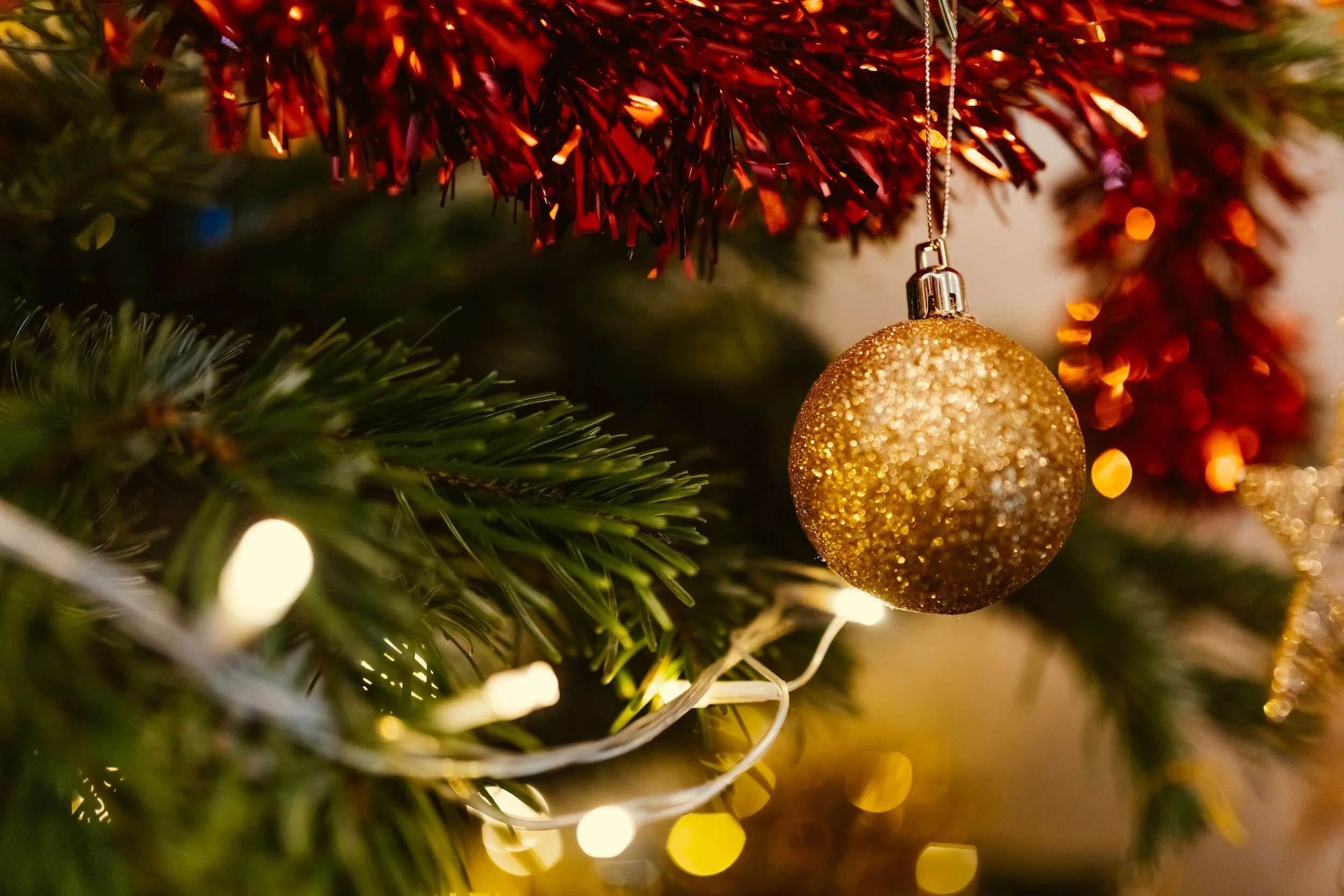 Servicio y Cena de navidad