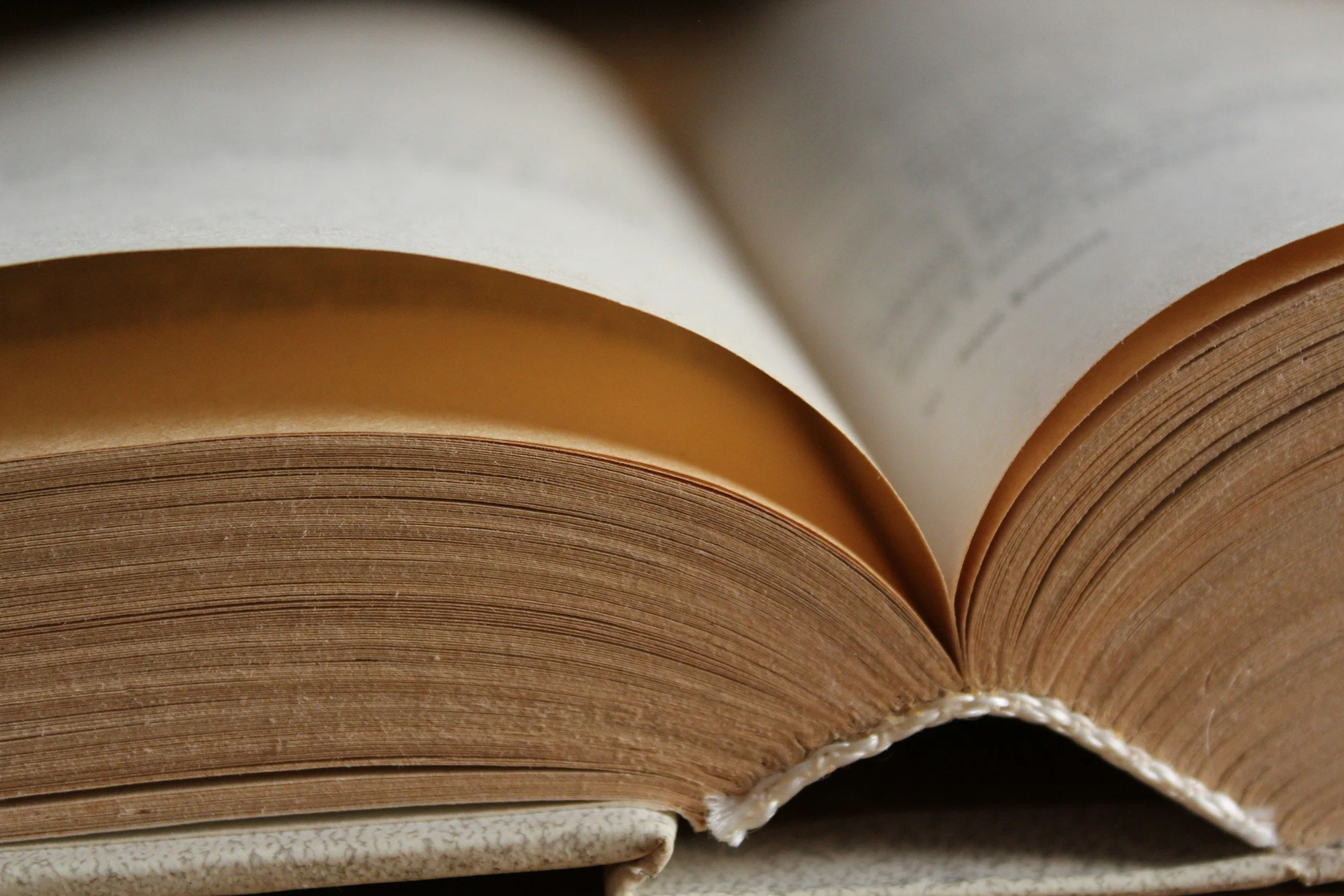 Picture of an open book showing blurred text inside.