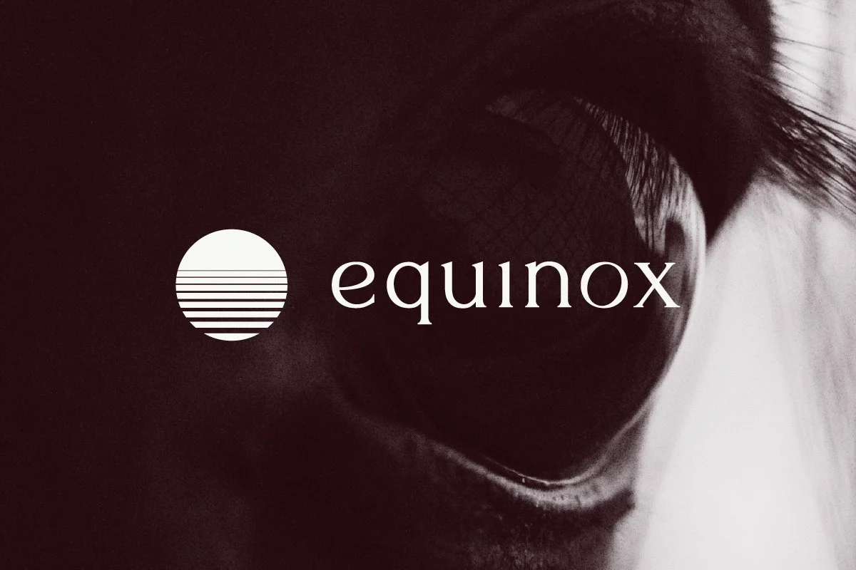 Equinox Consulting