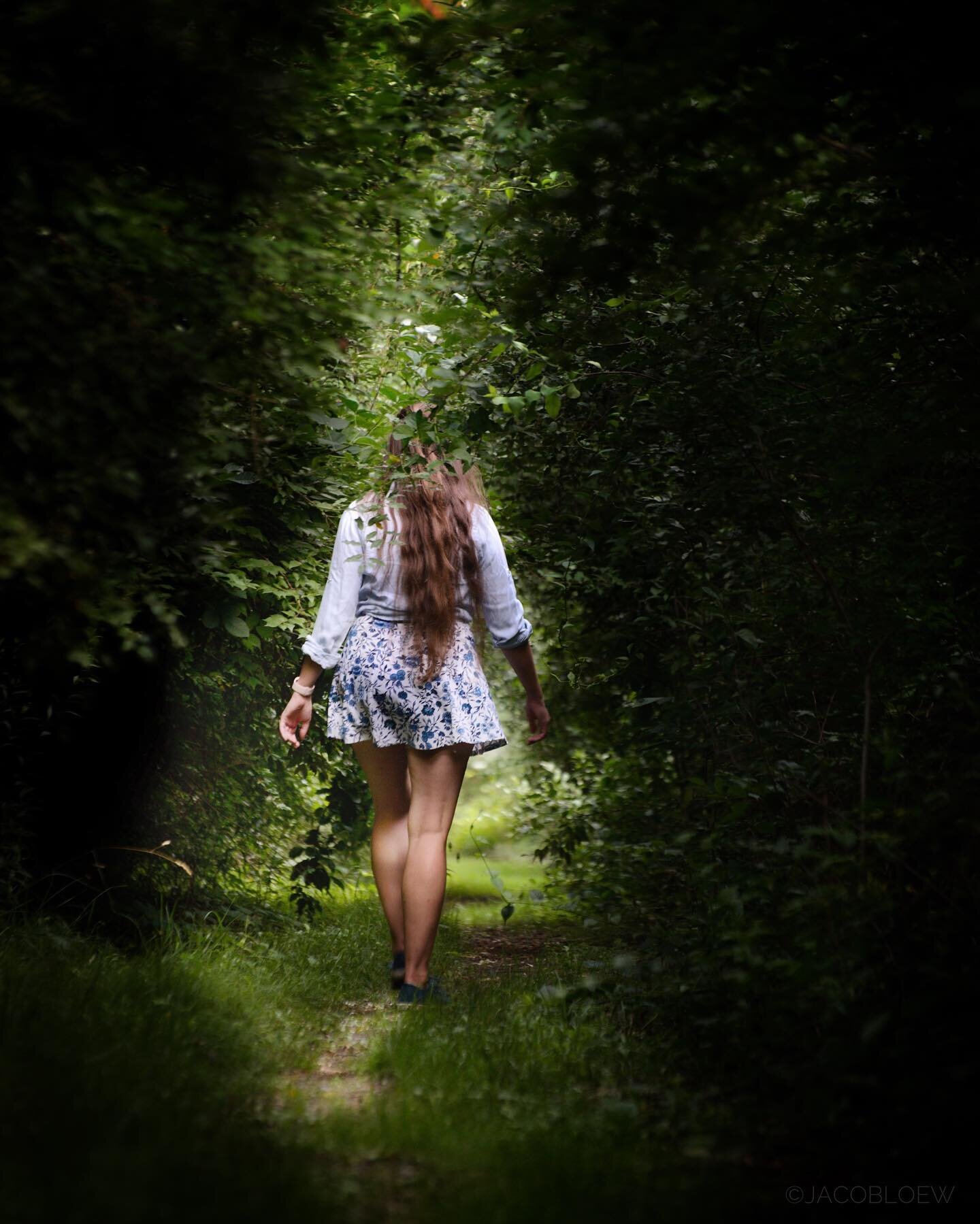 Mosquito Alley 

As serene as this shot ended up, you wouldn&rsquo;t guess that we are on pace to give a double at the mosquito blood bank. Oh, and poison ivy everywhere. 2/10 only because of this overgrown trail. 🤷&zwj;♂️

Grateful that @alexis._.l