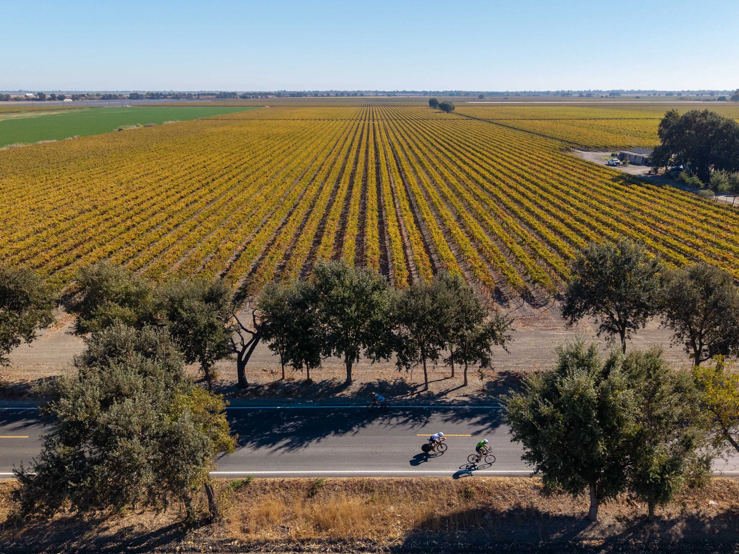  DJI_20261018092528_0313_D-HDR.jpg