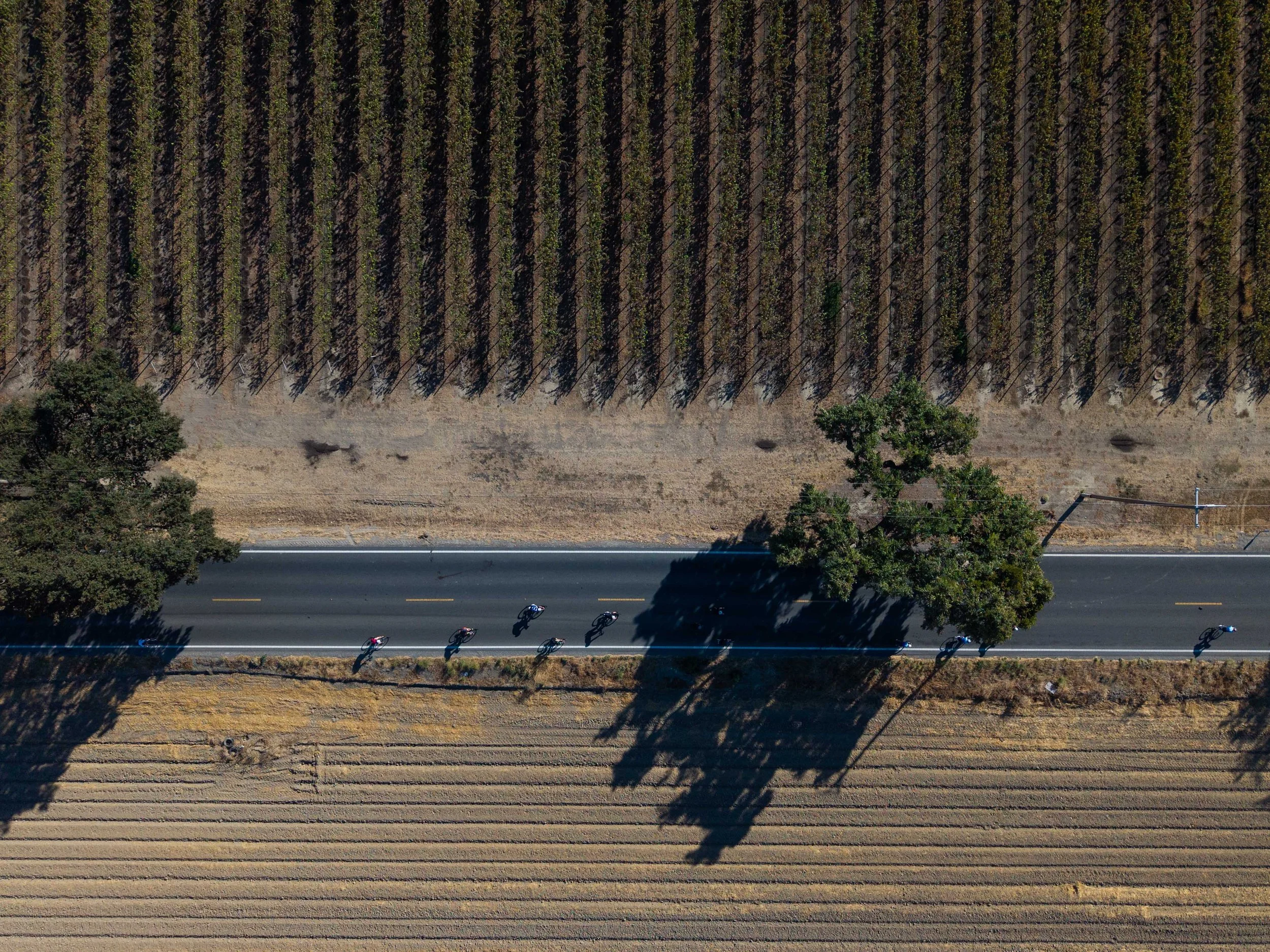  DJI_20261018082609_0103_D.jpg