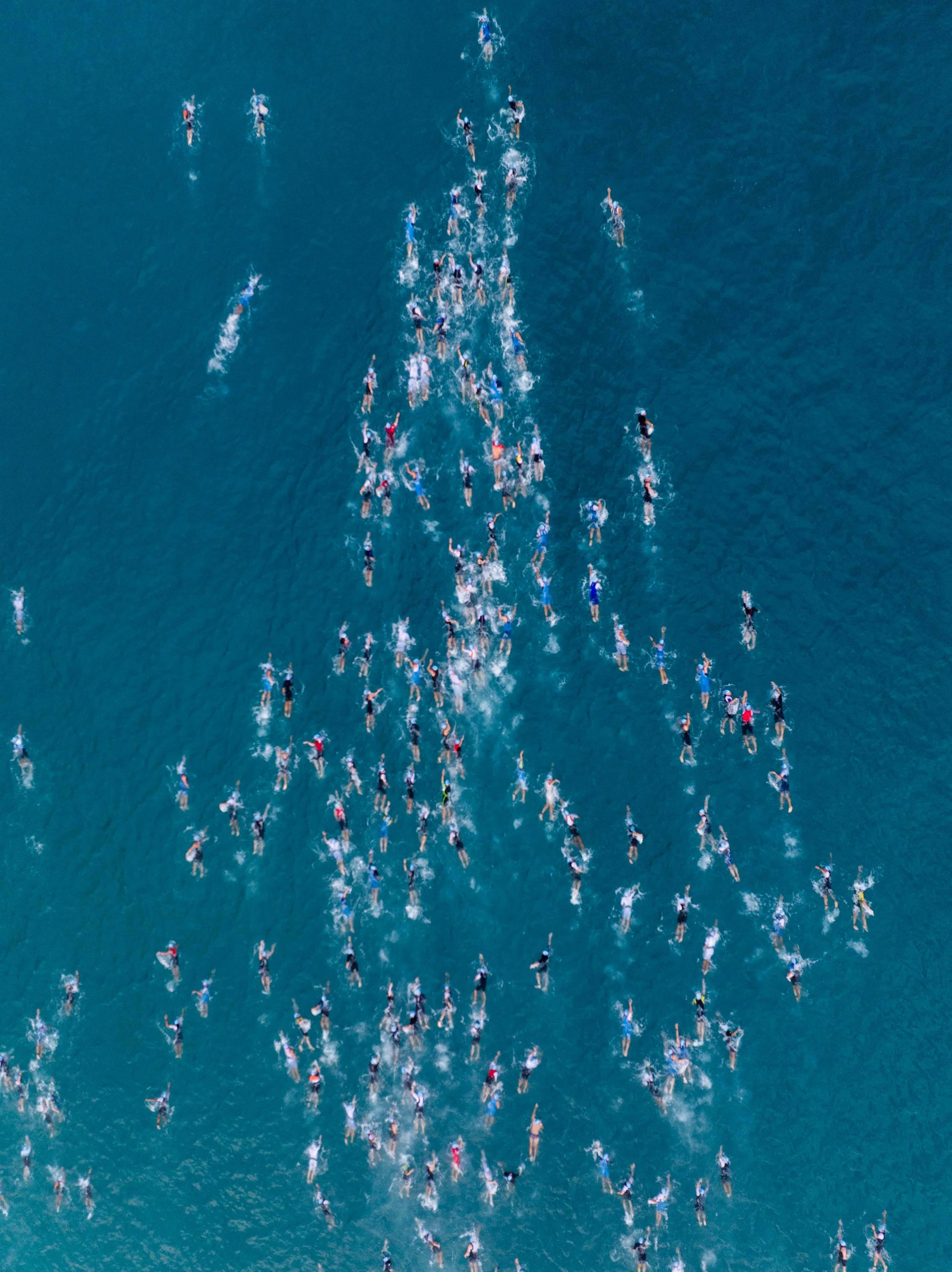  DJI_0977.jpg