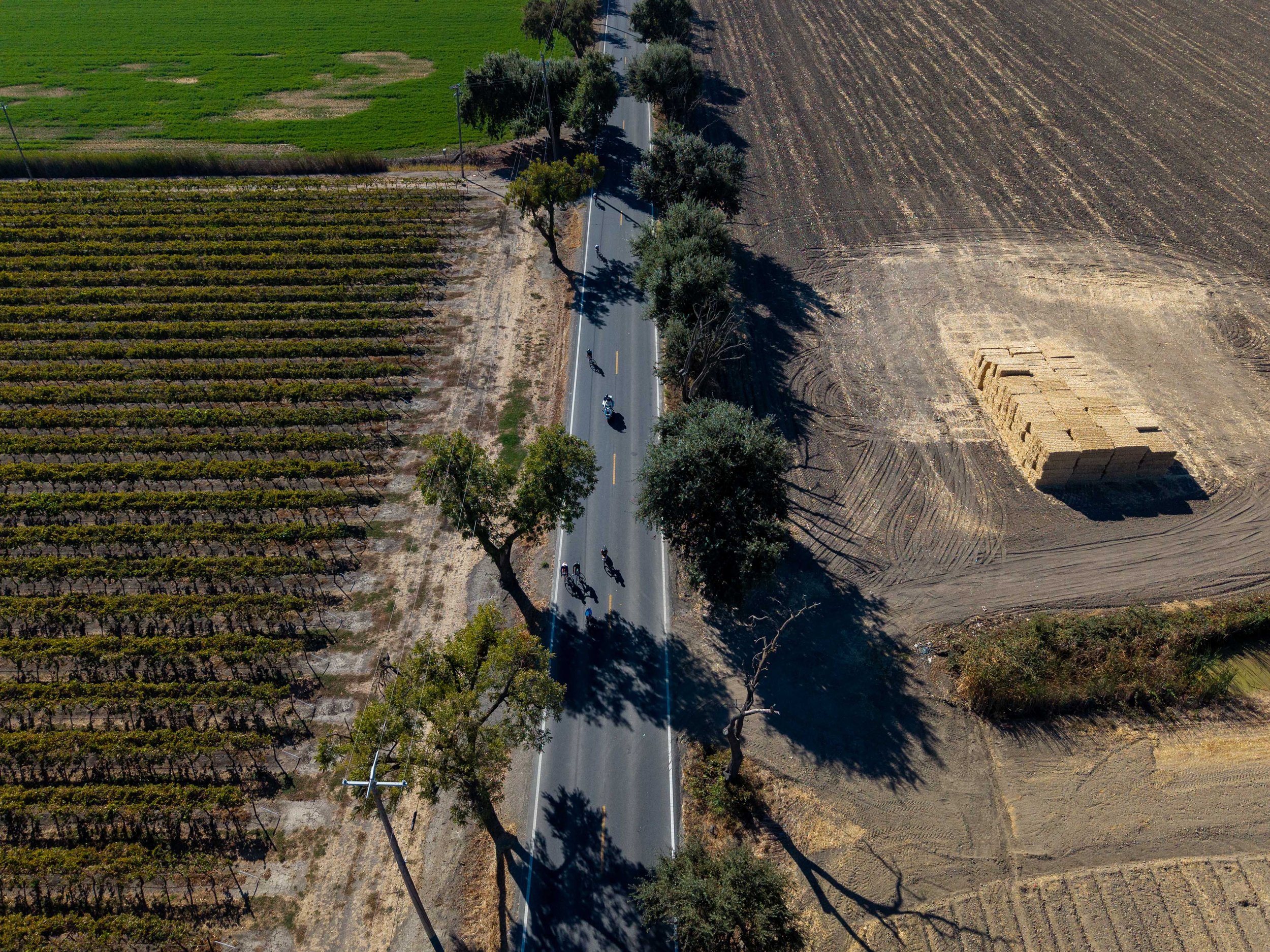  DJI_20261018092321_0289_D.jpg