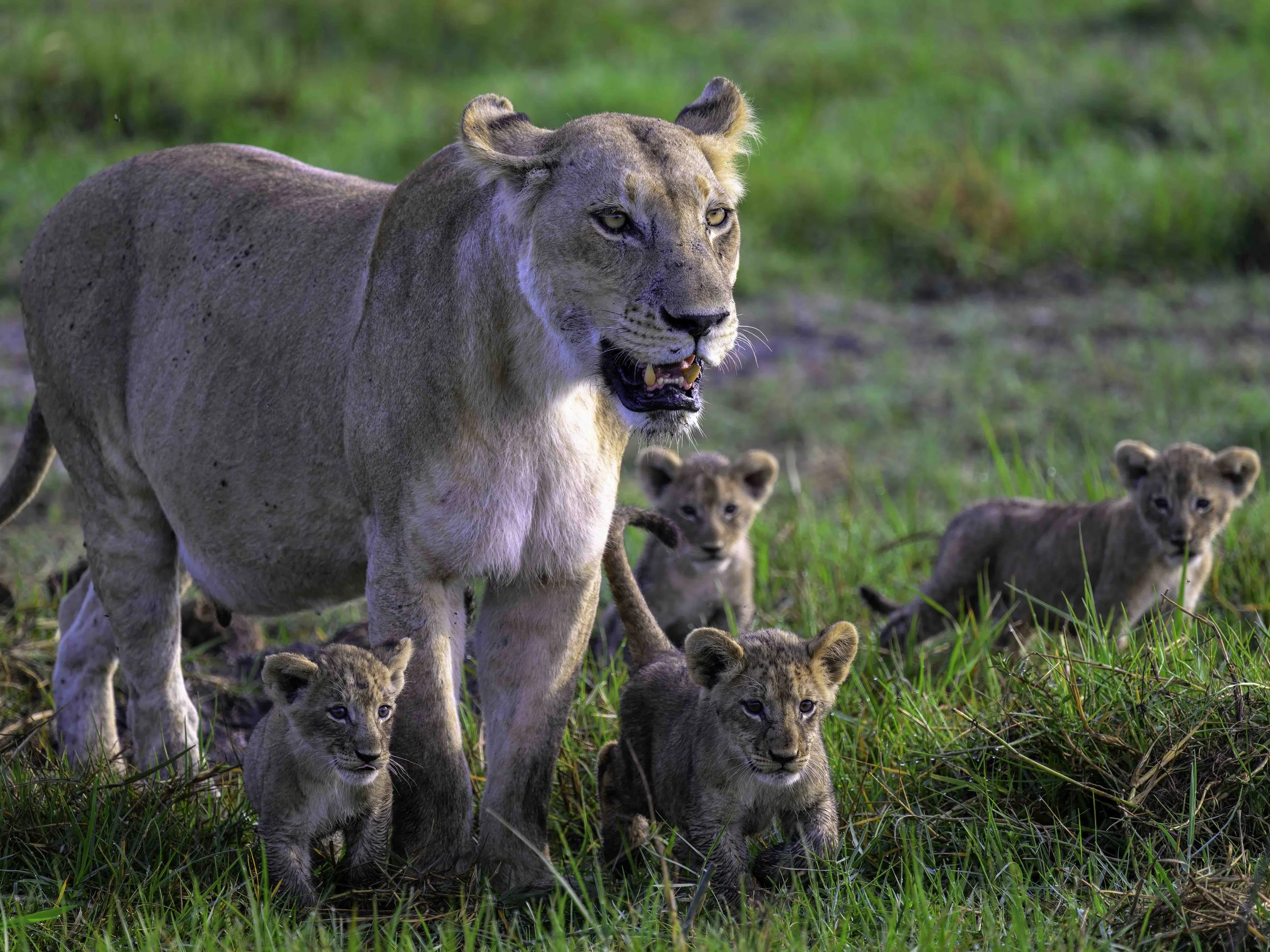 _DSC3178-DxO_DeepPRIME XD2s.jpg