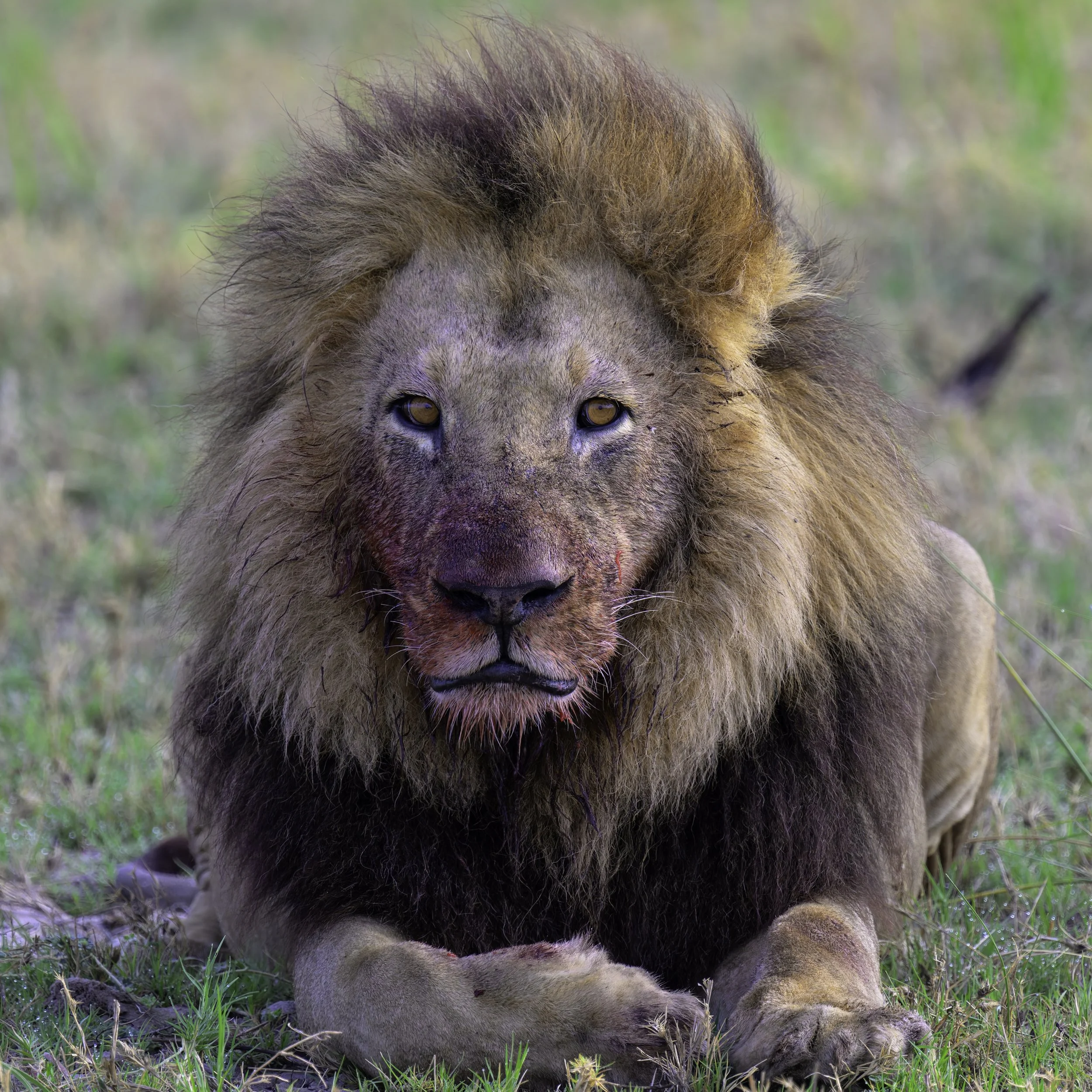 _DSC5123-DxO_DeepPRIME XD2s.jpg