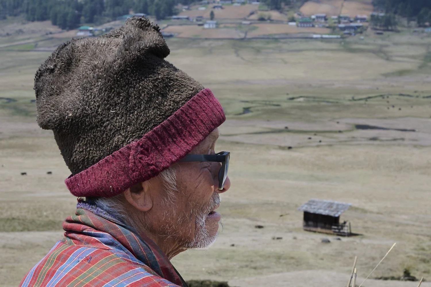 Z62_5102Apr 14 2024.jpg