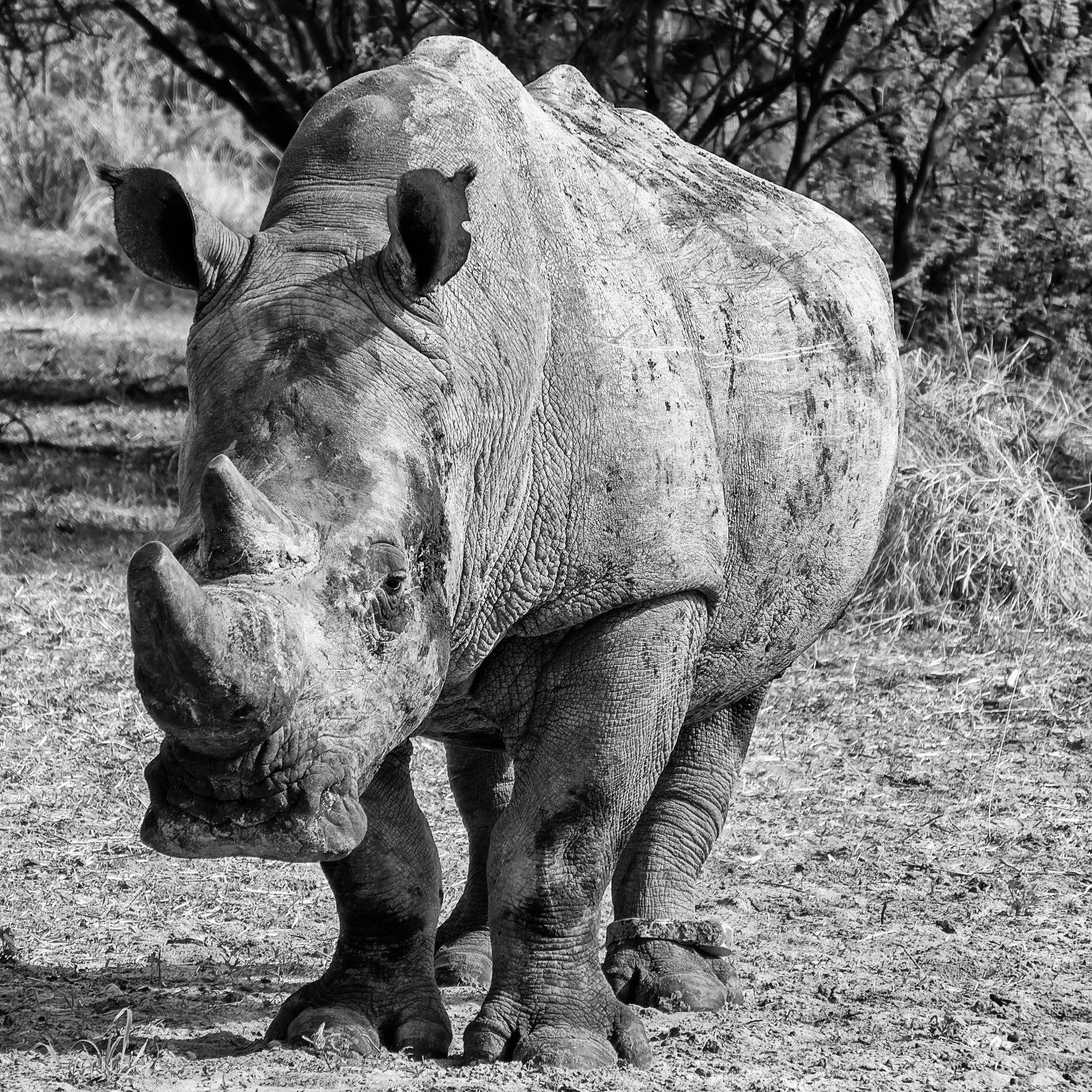 _DSC1206-DxO_DeepPRIME XD2s-2-Edit.jpg