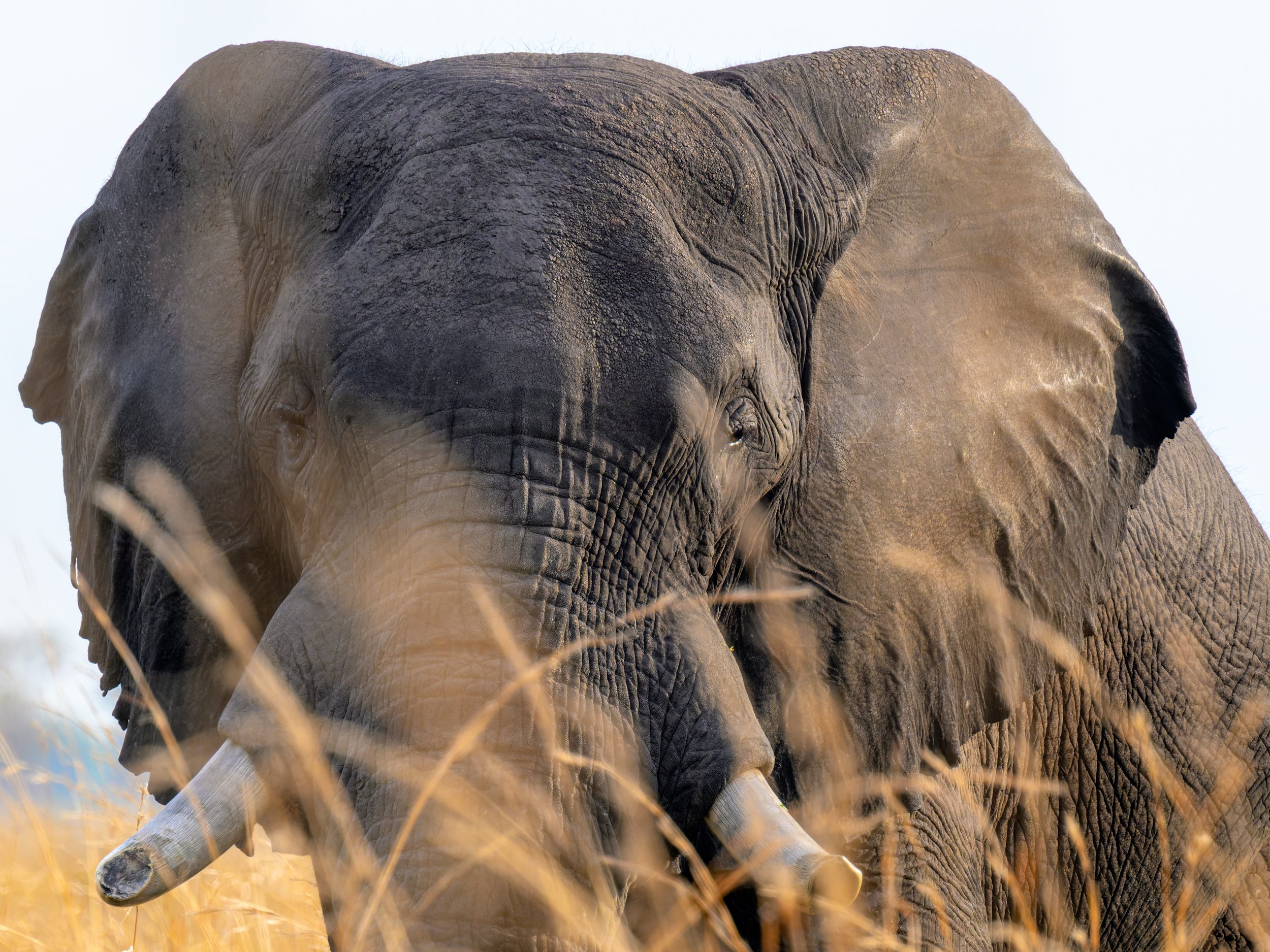 _DSC6872-DxO_DeepPRIME XD2s.jpg