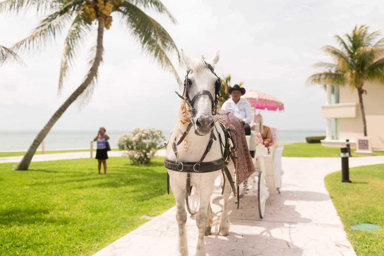 036-Cancun-South-Asian-wedding-photography-moon-palace-resort-Mexico.jpg
