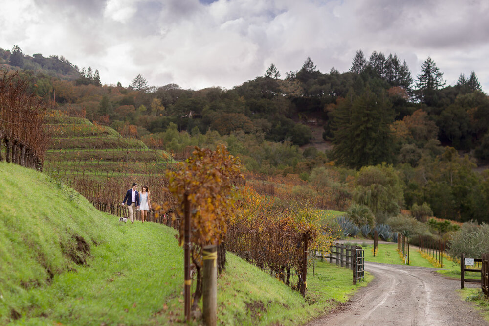 008-napa-sonoma-benzinger-winery-engagement-photographer.jpg