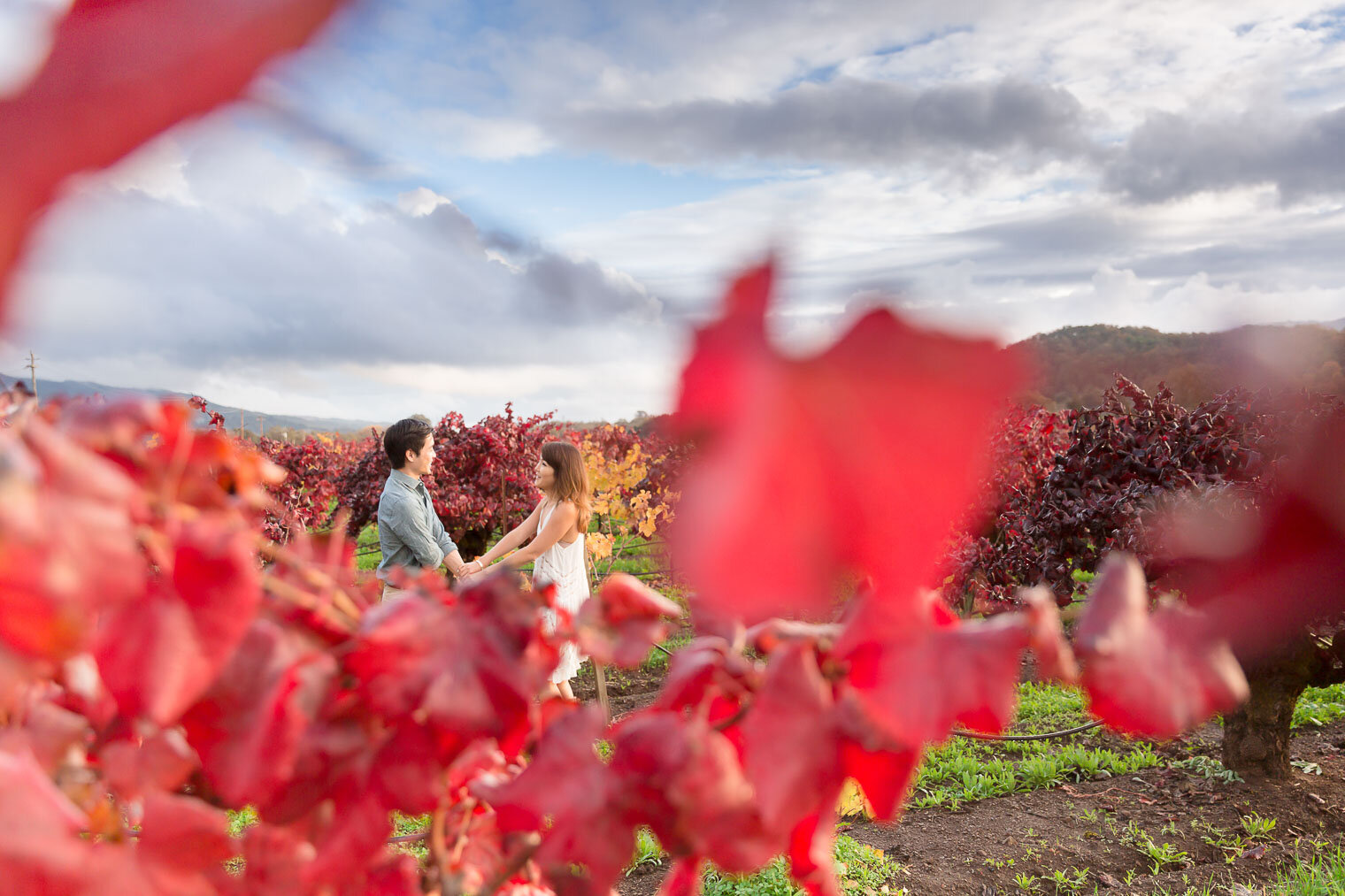 014-napa-sonoma-kunde-estate-winery-engagement-photographer.jpg