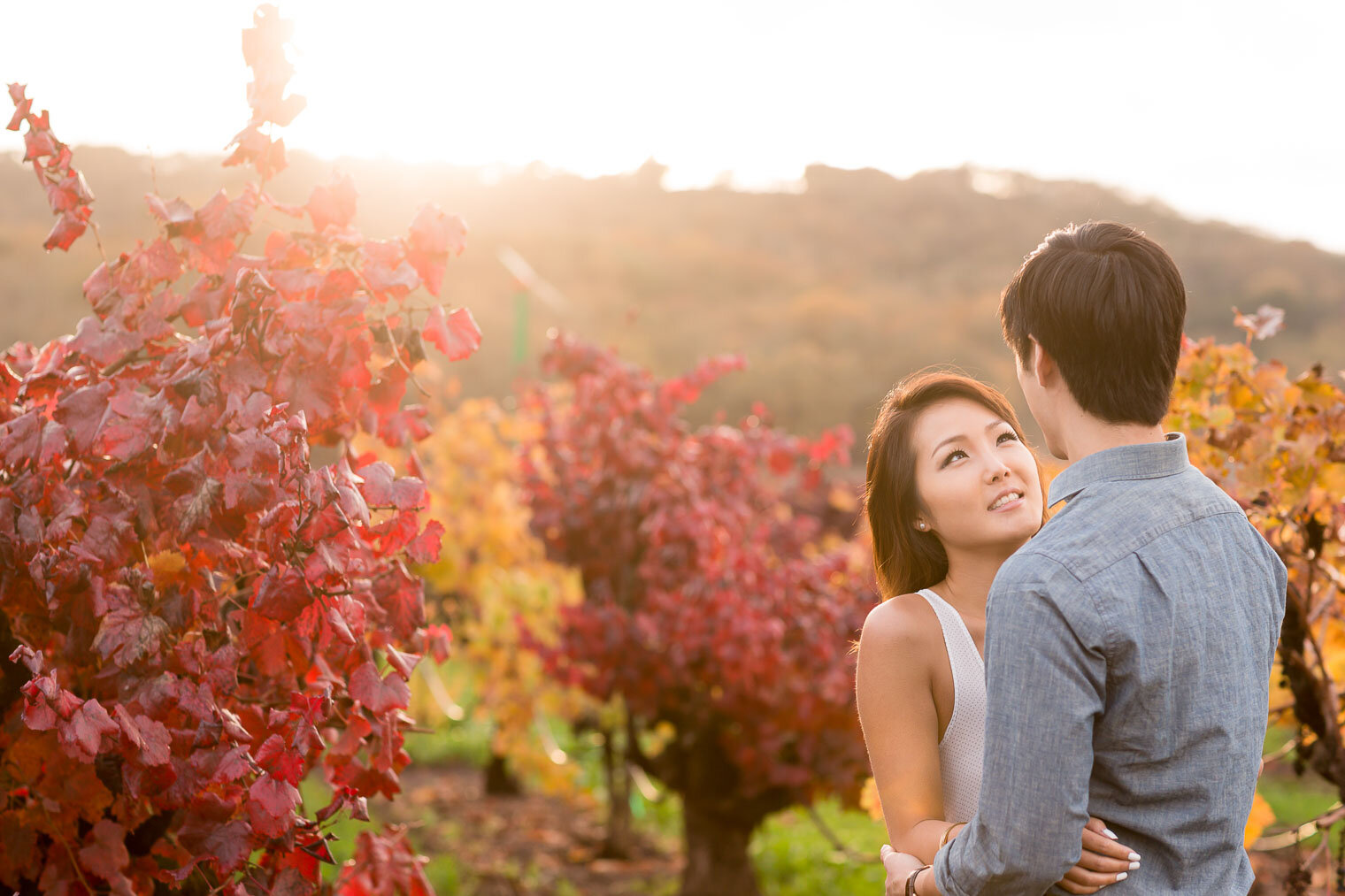 018-napa-sonoma-kunde-estate-winery-engagement-photography.jpg