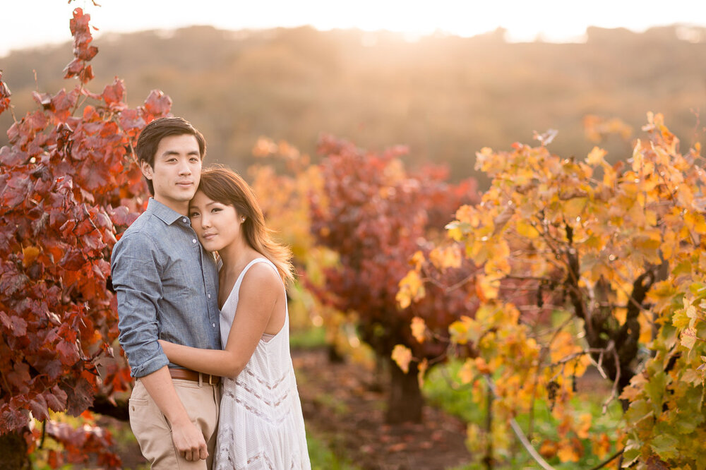 019-napa-sonoma-kunde-estate-winery-engagement-photography.jpg