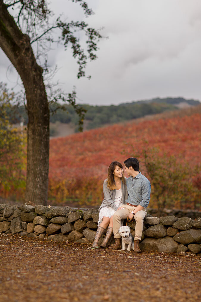 020-napa-sonoma-kunde-estate-winery-engagement-photography.jpg