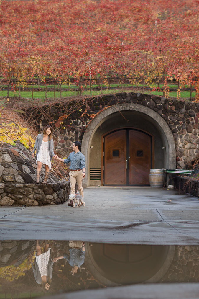 022-napa-sonoma-kunde-estate-winery-engagement-photos.jpg