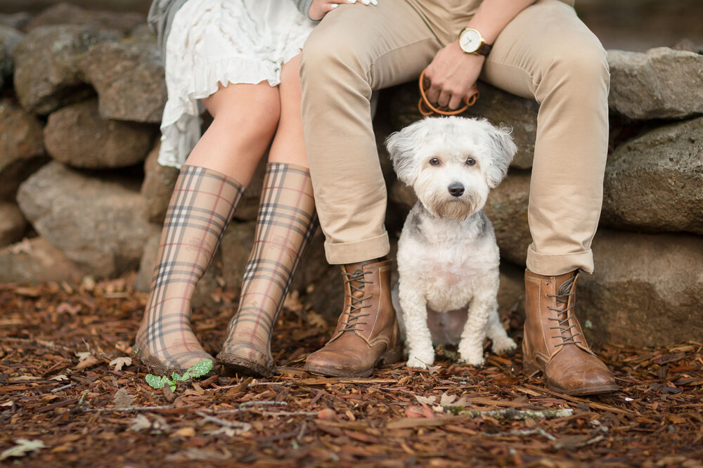 021-napa-sonoma-kunde-estate-winery-engagement-photos.jpg