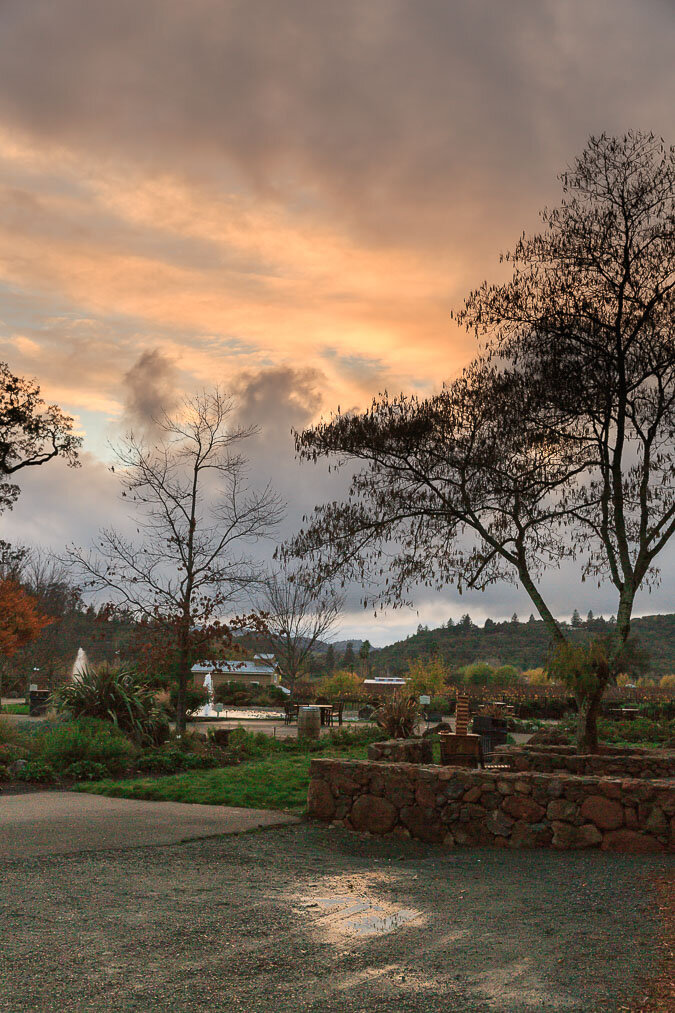 023-napa-sonoma-kunde-estate-winery-engagement-photos.jpg