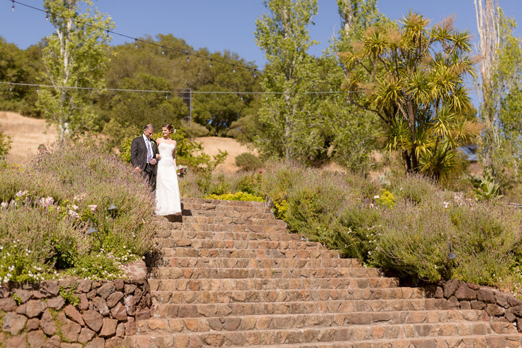 13-moon-mountain-sonoma-documentary-photojournalistic-wedding-photography.jpg