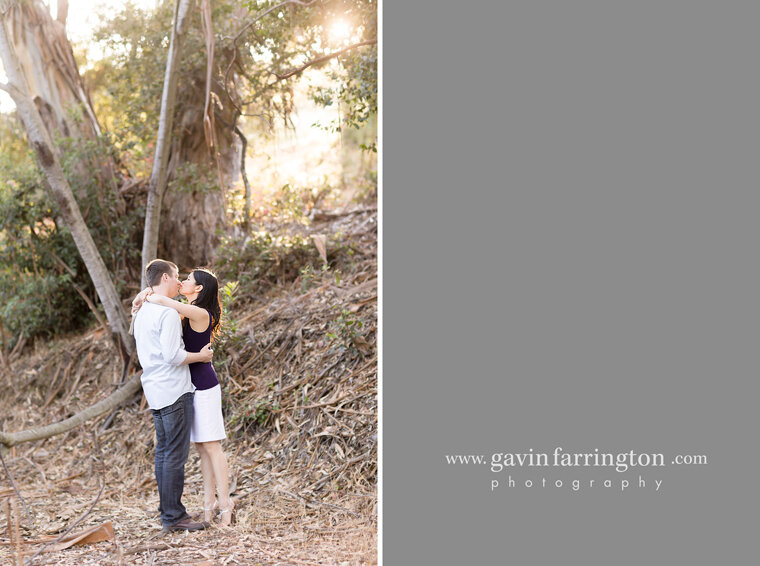 005-san-mateo-park-outdoor-wedding-engagement-photography-photographer-.jpg