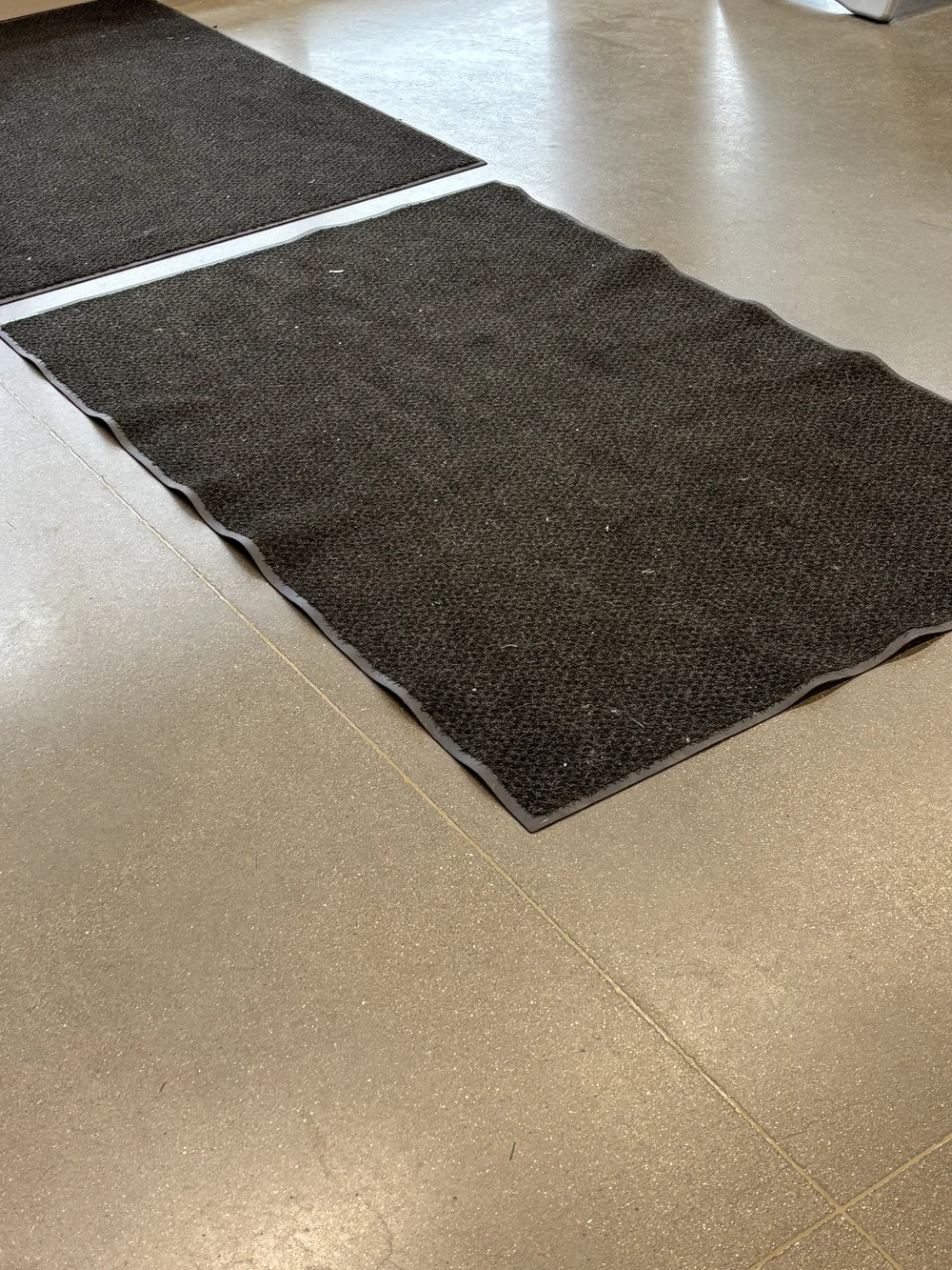 Walkway Auditor 1.JPG