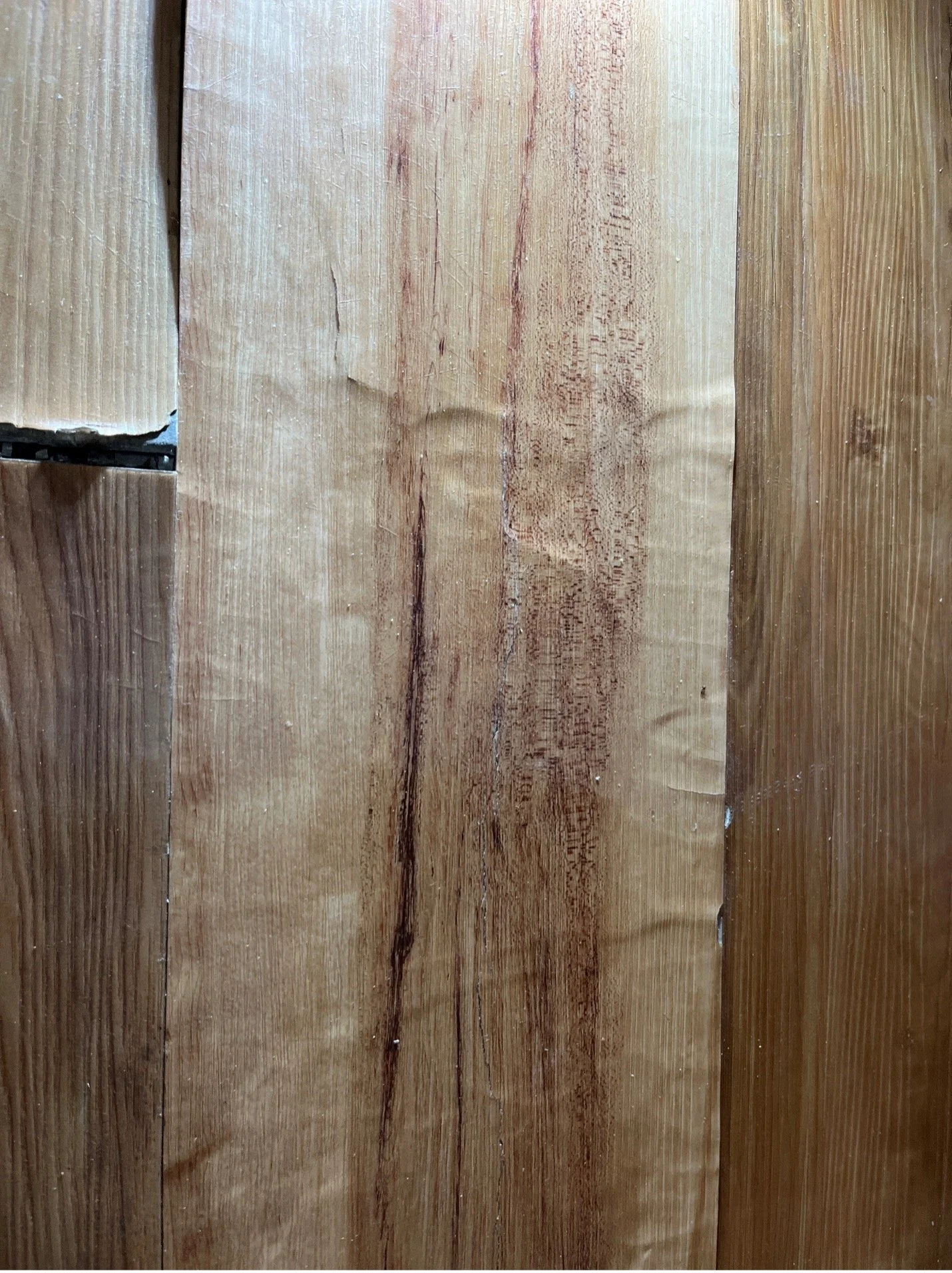 Picture2.jpg