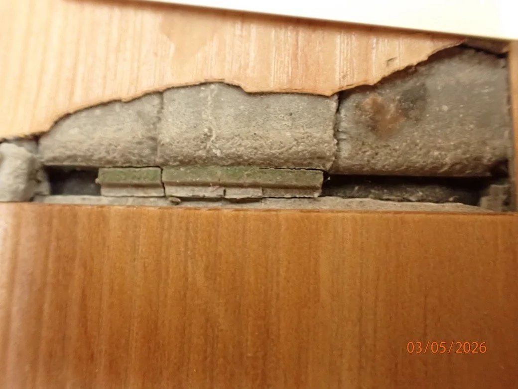 Picture3.jpg