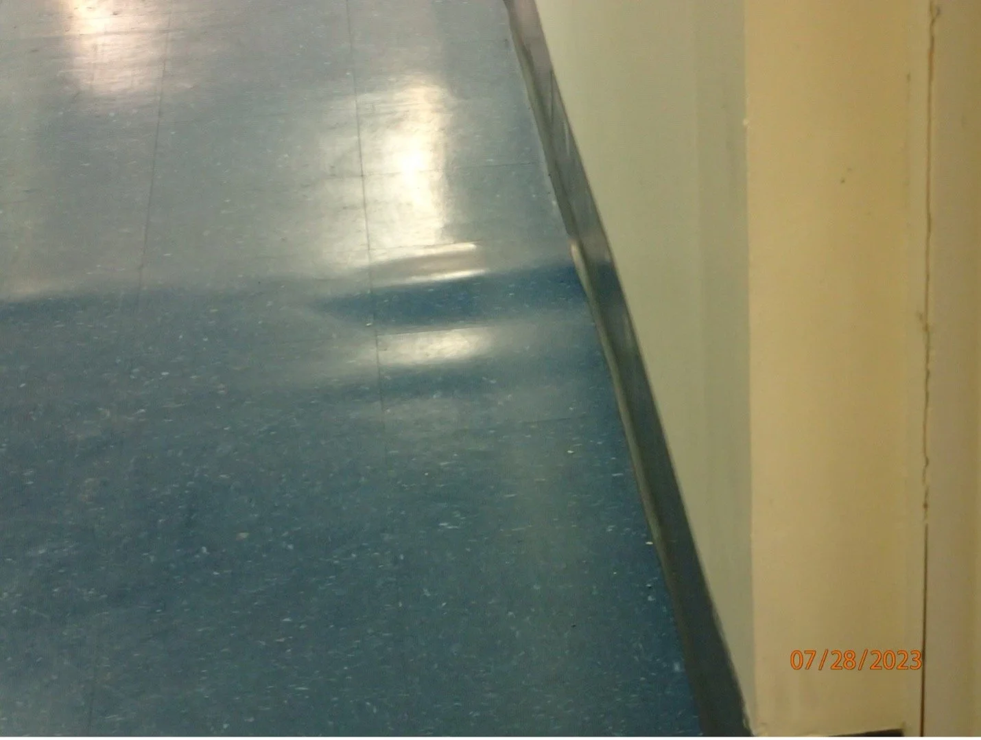 Picture11.jpg