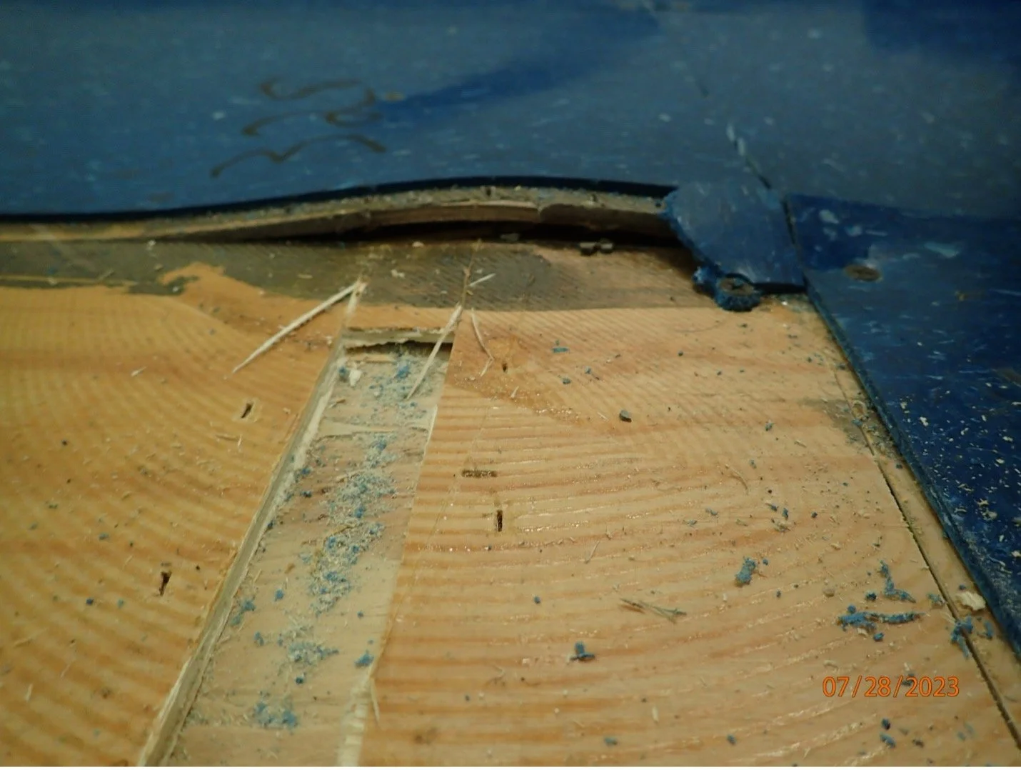 Picture14.jpg