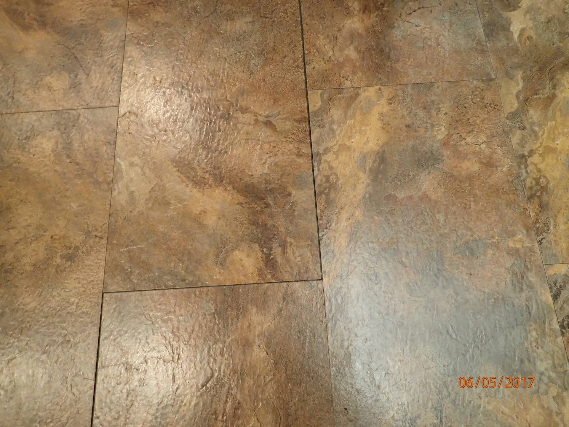 Bear Carpet One Shy Cellars-9.JPG