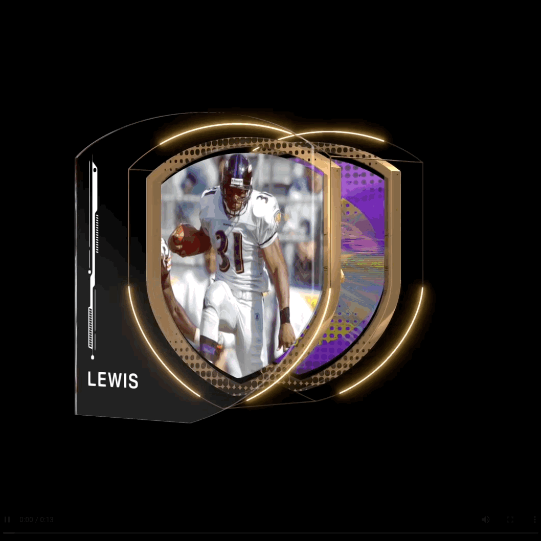 VAULT_COLLECTIBLE.gif