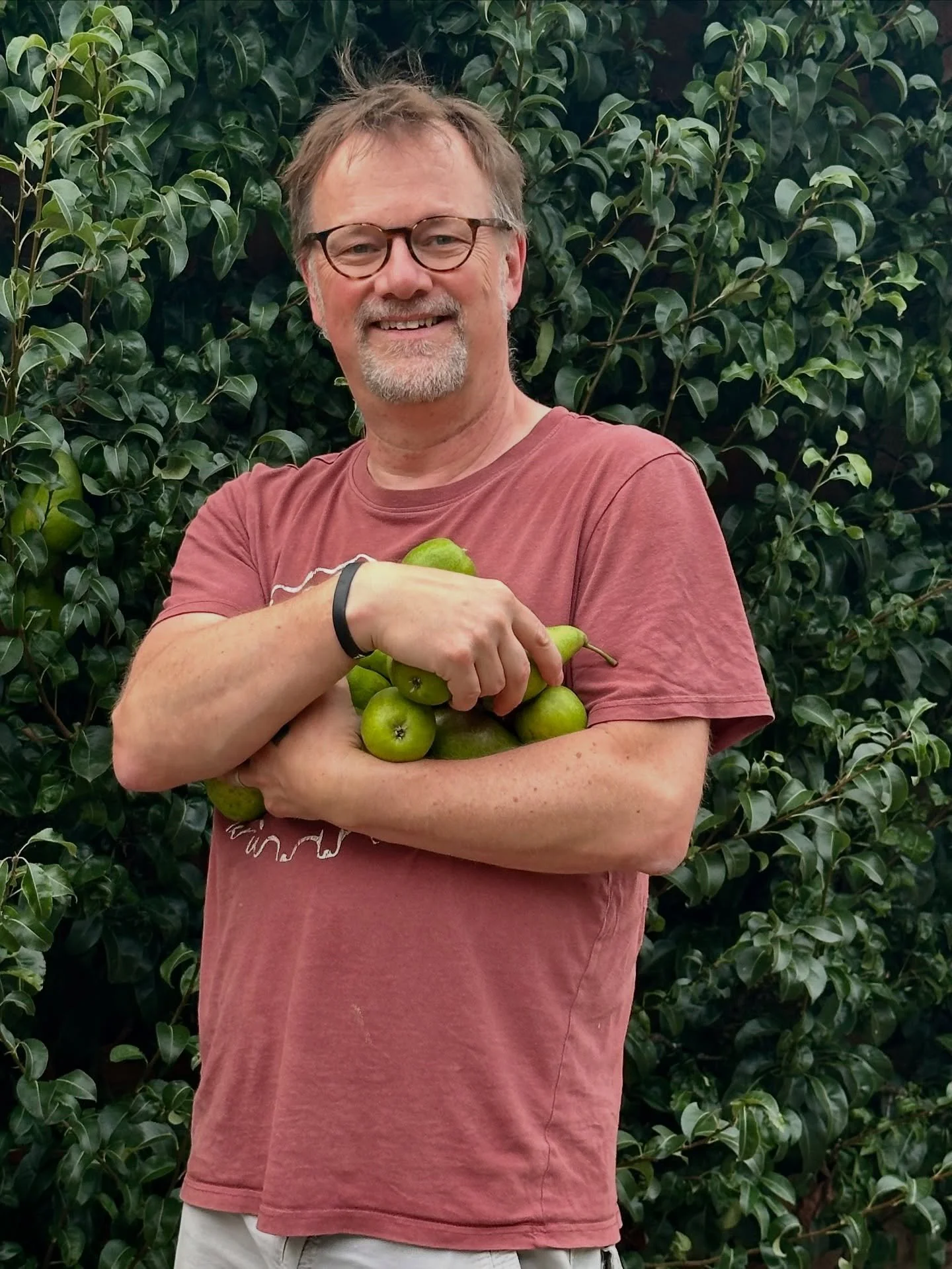 20 years ago Debbie planted this pear tree against the east facing wall of Lund Gallery - just before first opening the gallery doors&hellip;
An absolute joy to be collecting a bumper harvest this year 🍐🍐🍐
(If I was in any way organised I&rsquo;d 