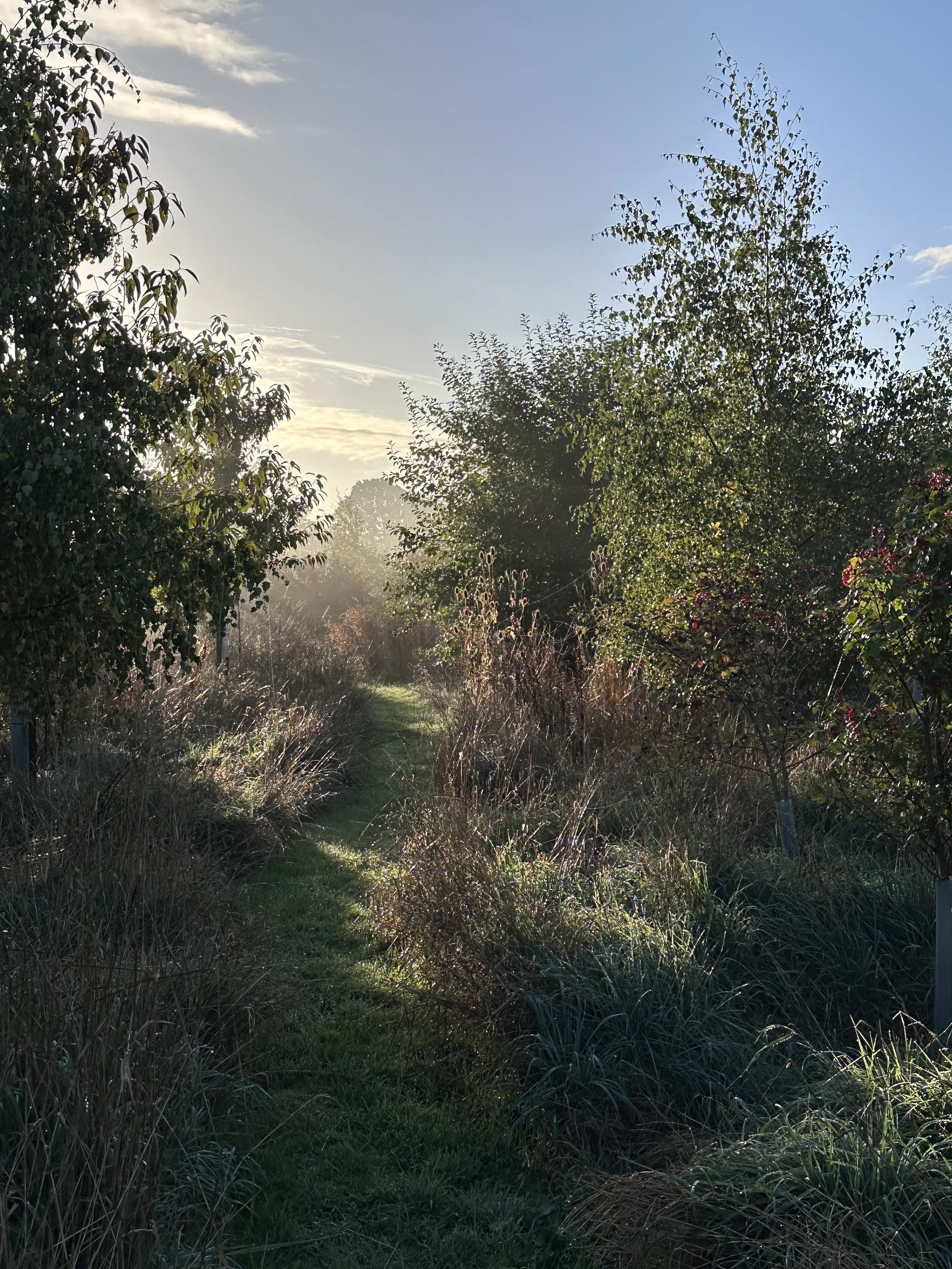 IMG_5800.jpeg