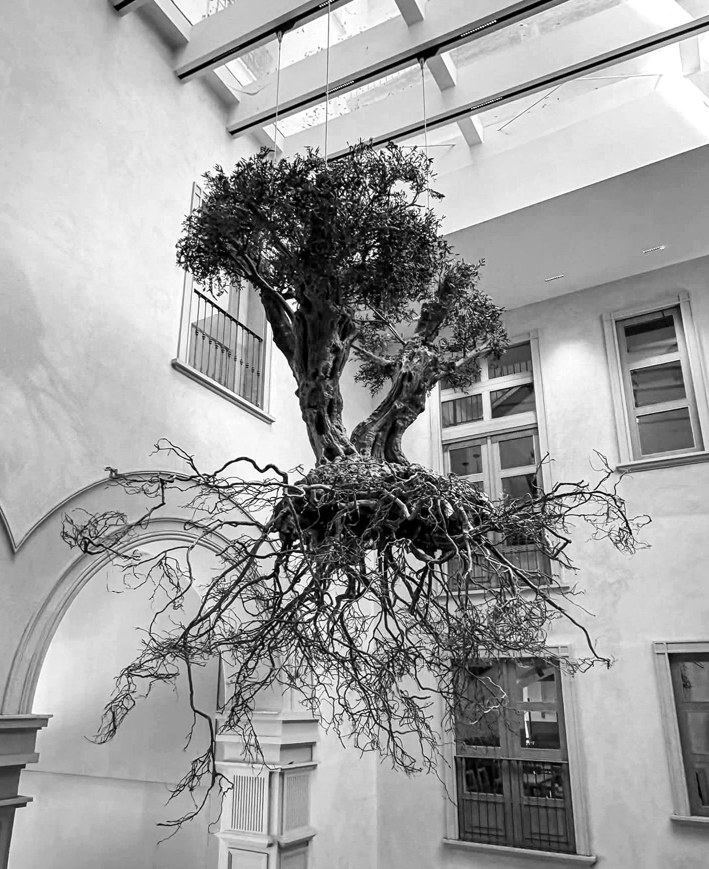 tree-installation-bw.jpg