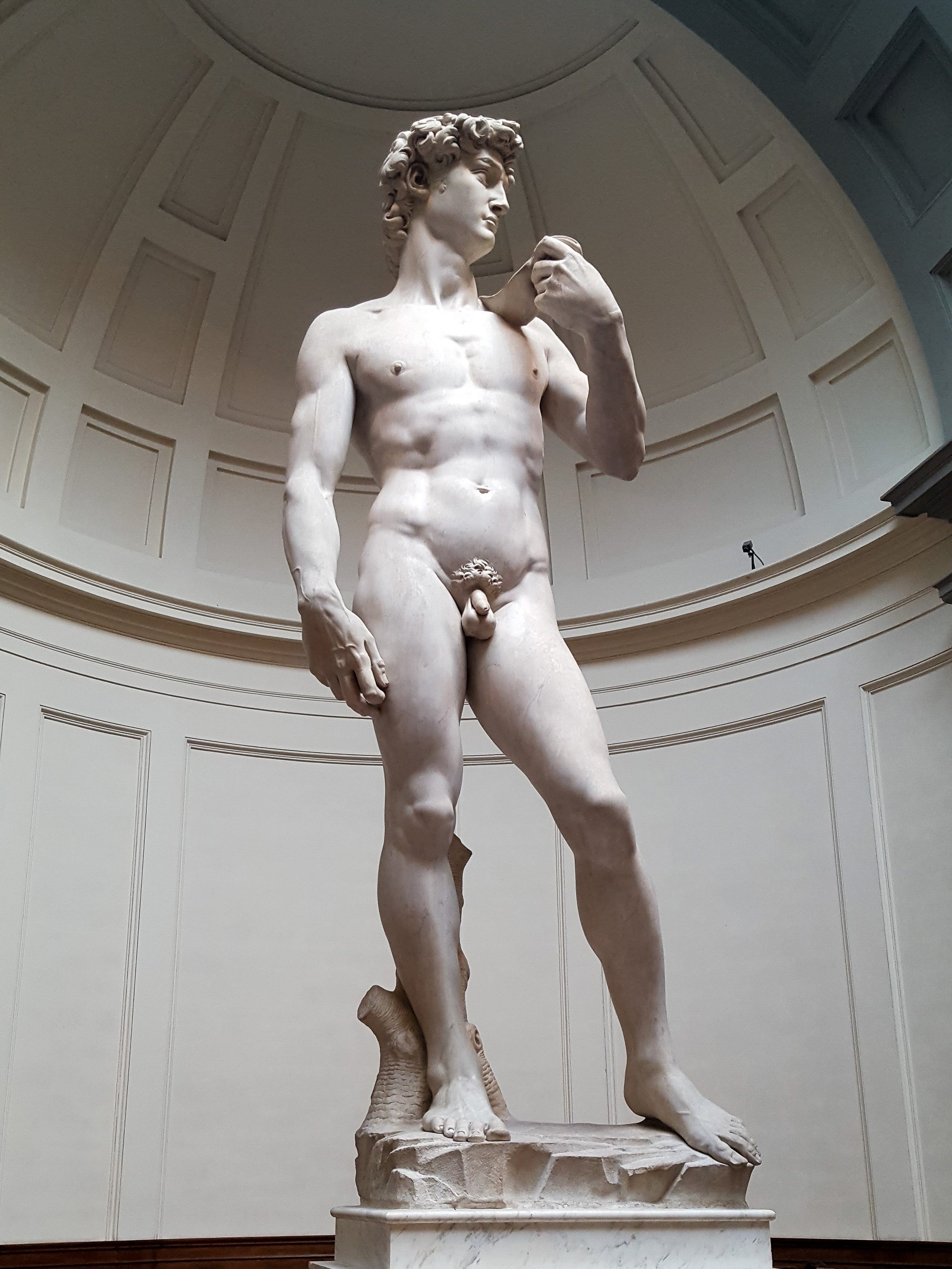 The David by Michelangelo