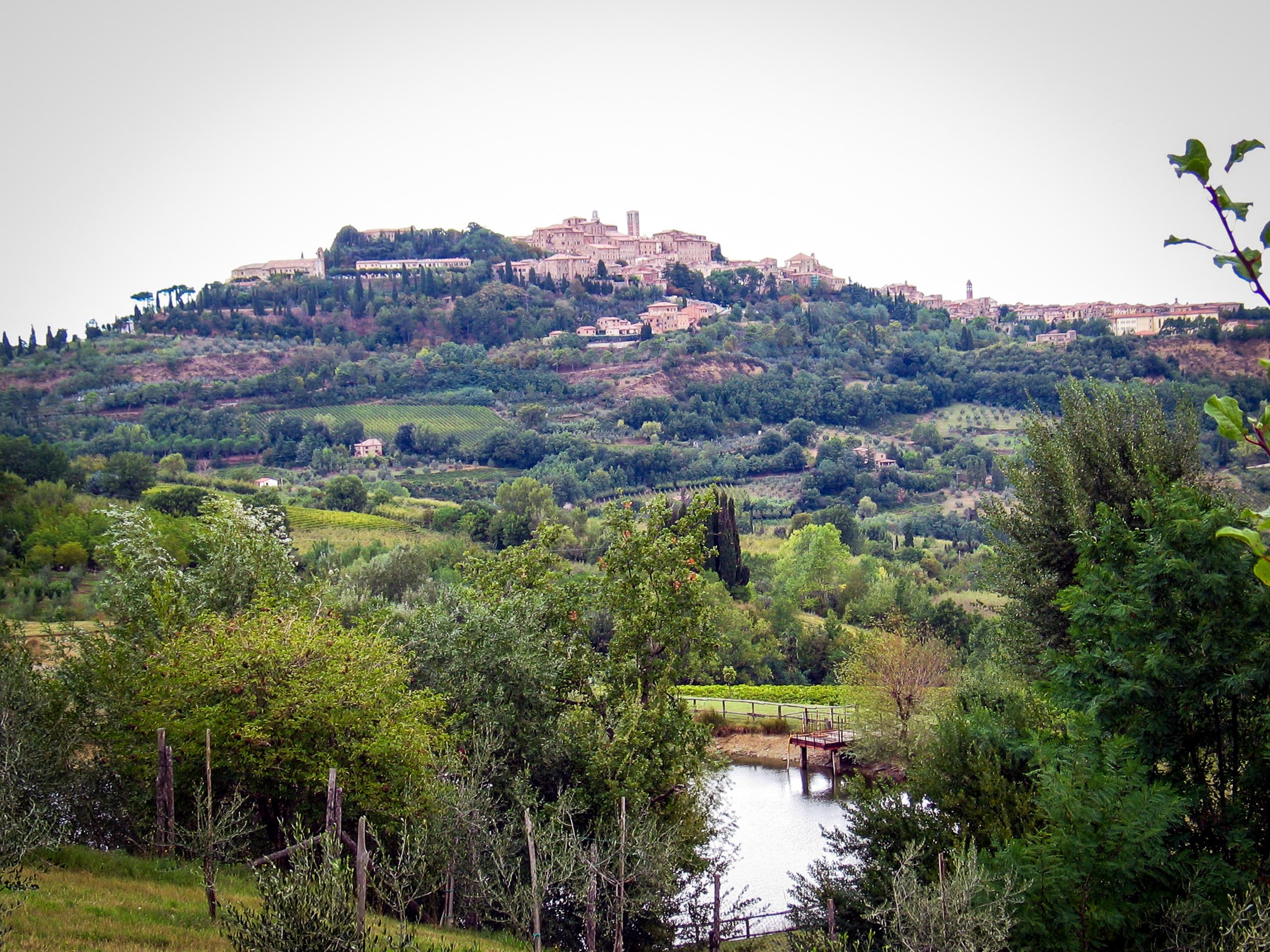 View of Montepulciano from the valley below