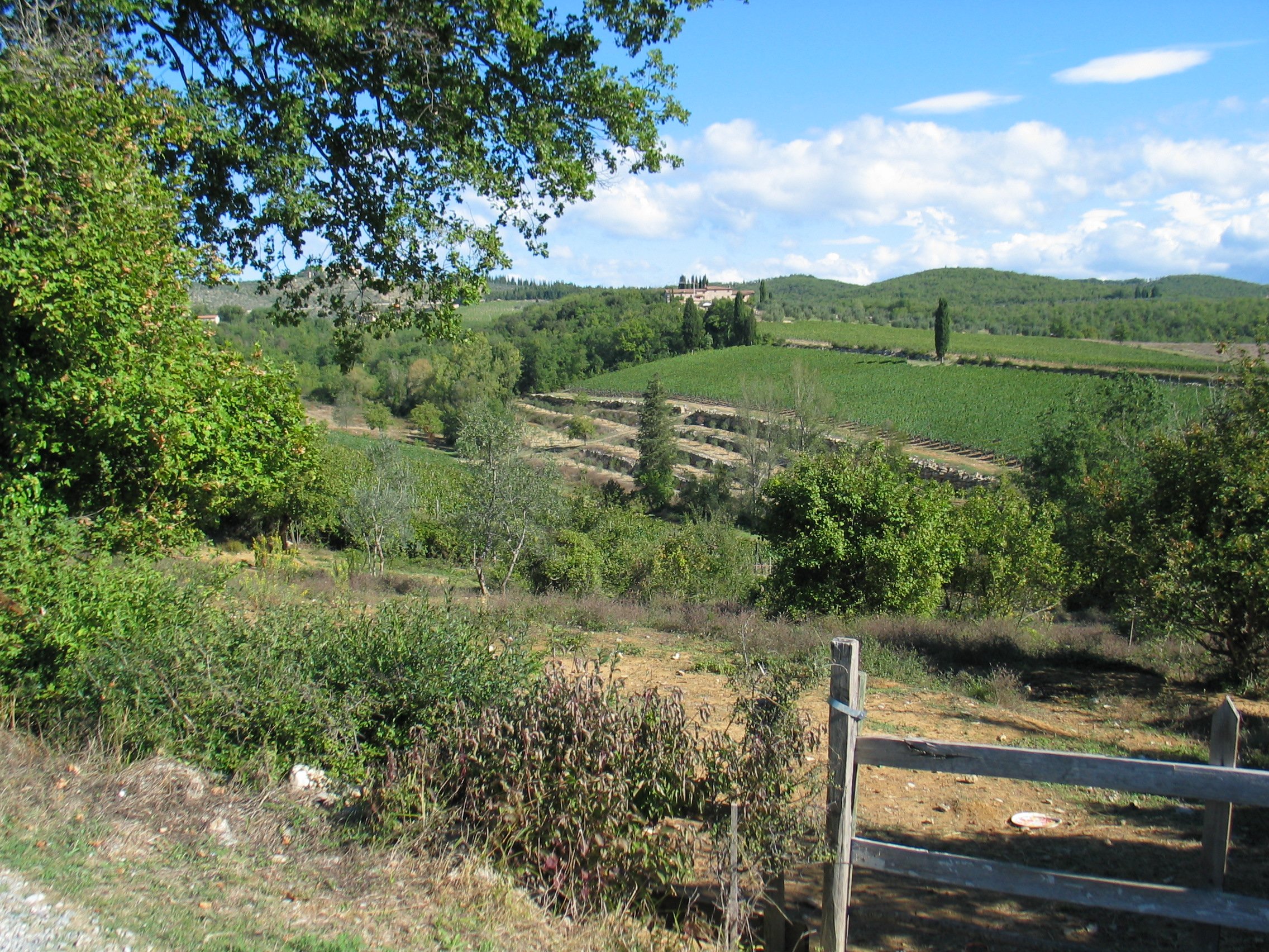 Chianti countryside 