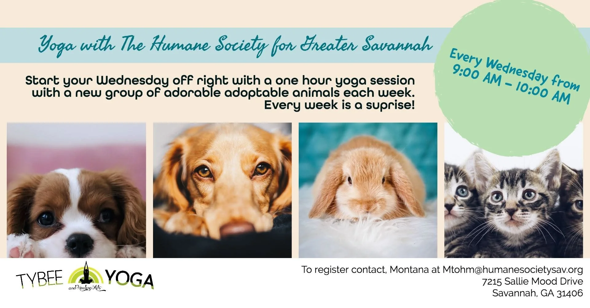 Flyer for a weekly animal yoga session in Savannah, Georgia, with photos of a puppy, a dog, a rabbit, and kittens.