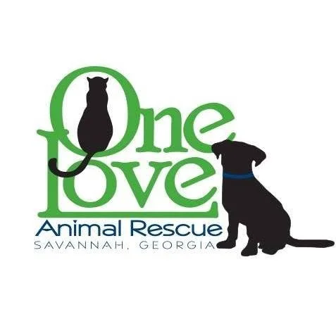 One Love Animal Rescue 