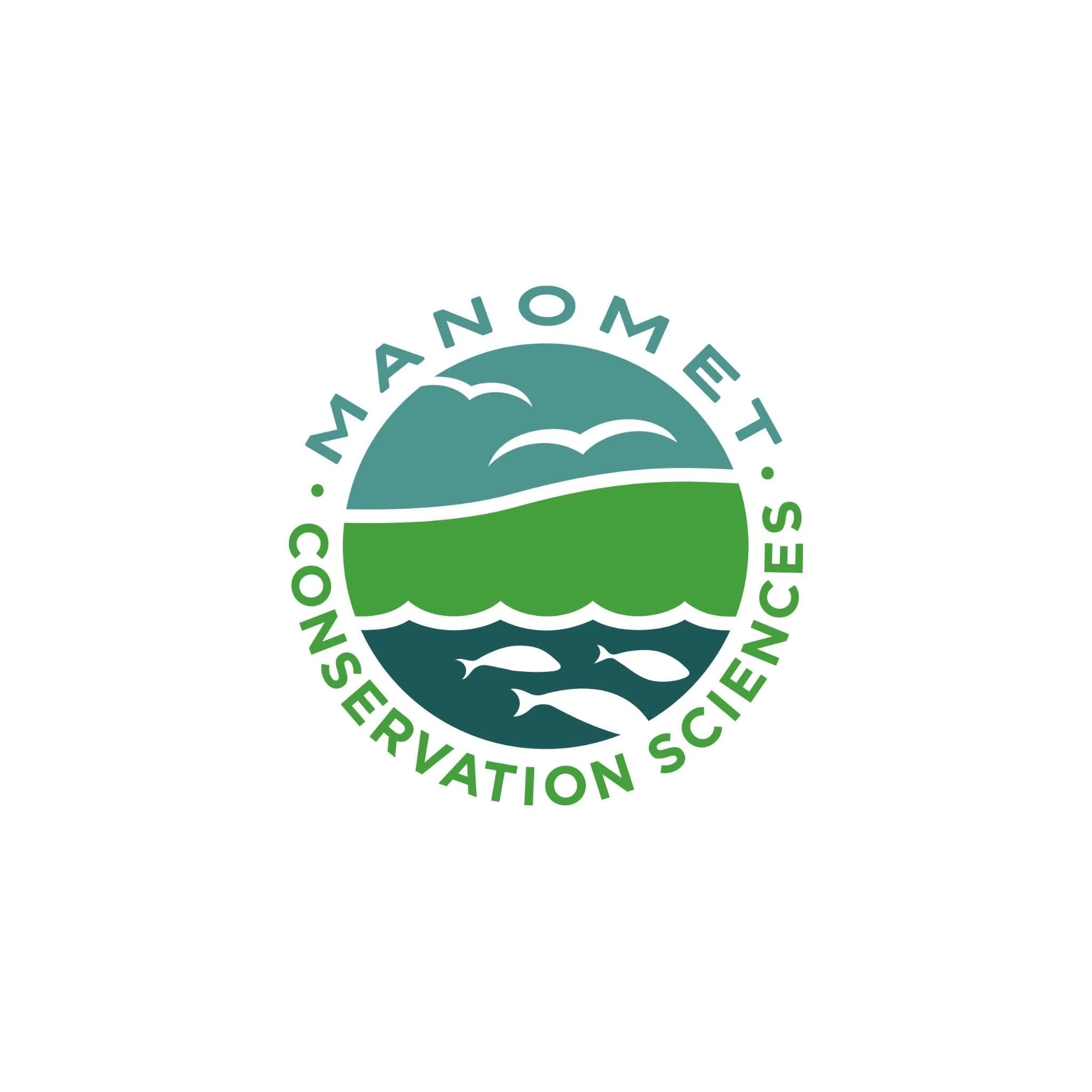 Manomet 'Shorebird Conservation Association of Southeast.'