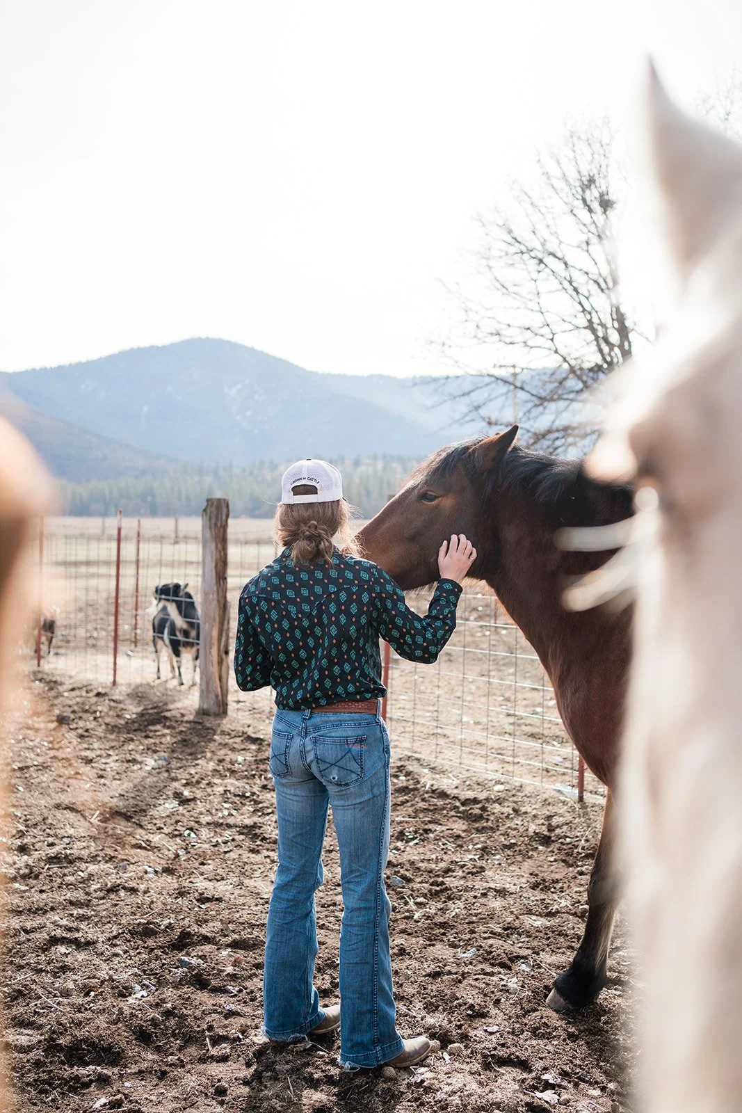 a girl with her back to the camera petting the face of a horse