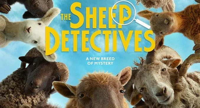 Sheep.jpg