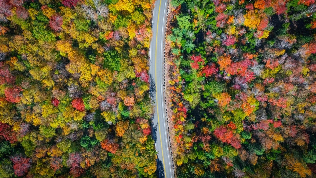 DJI_20250930022922_0055_D-2 Large.jpeg