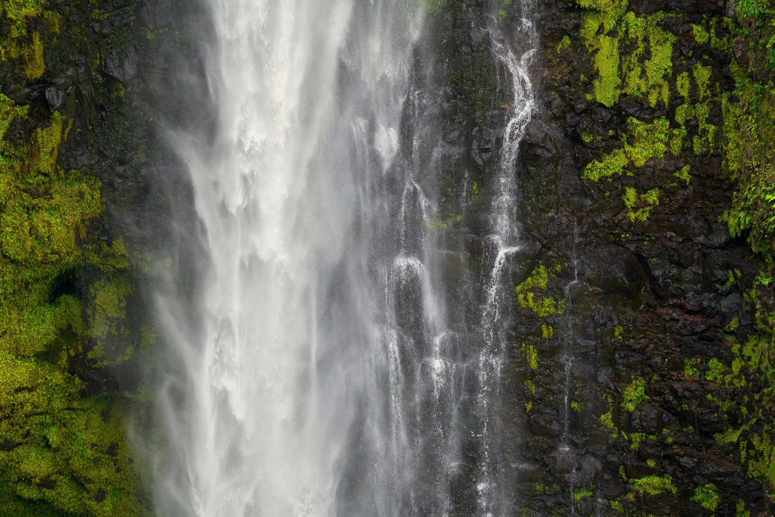 waterfall-3 2.jpeg