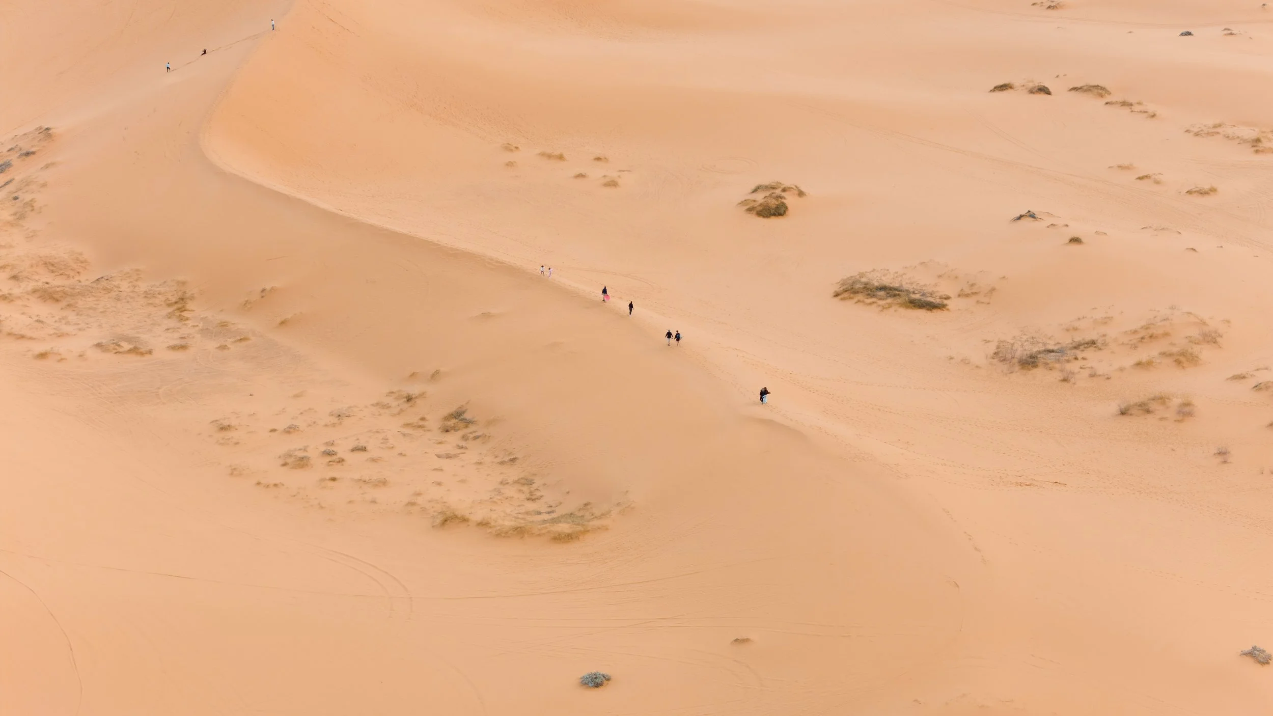 DJI_20250312073502_0064_D.jpg